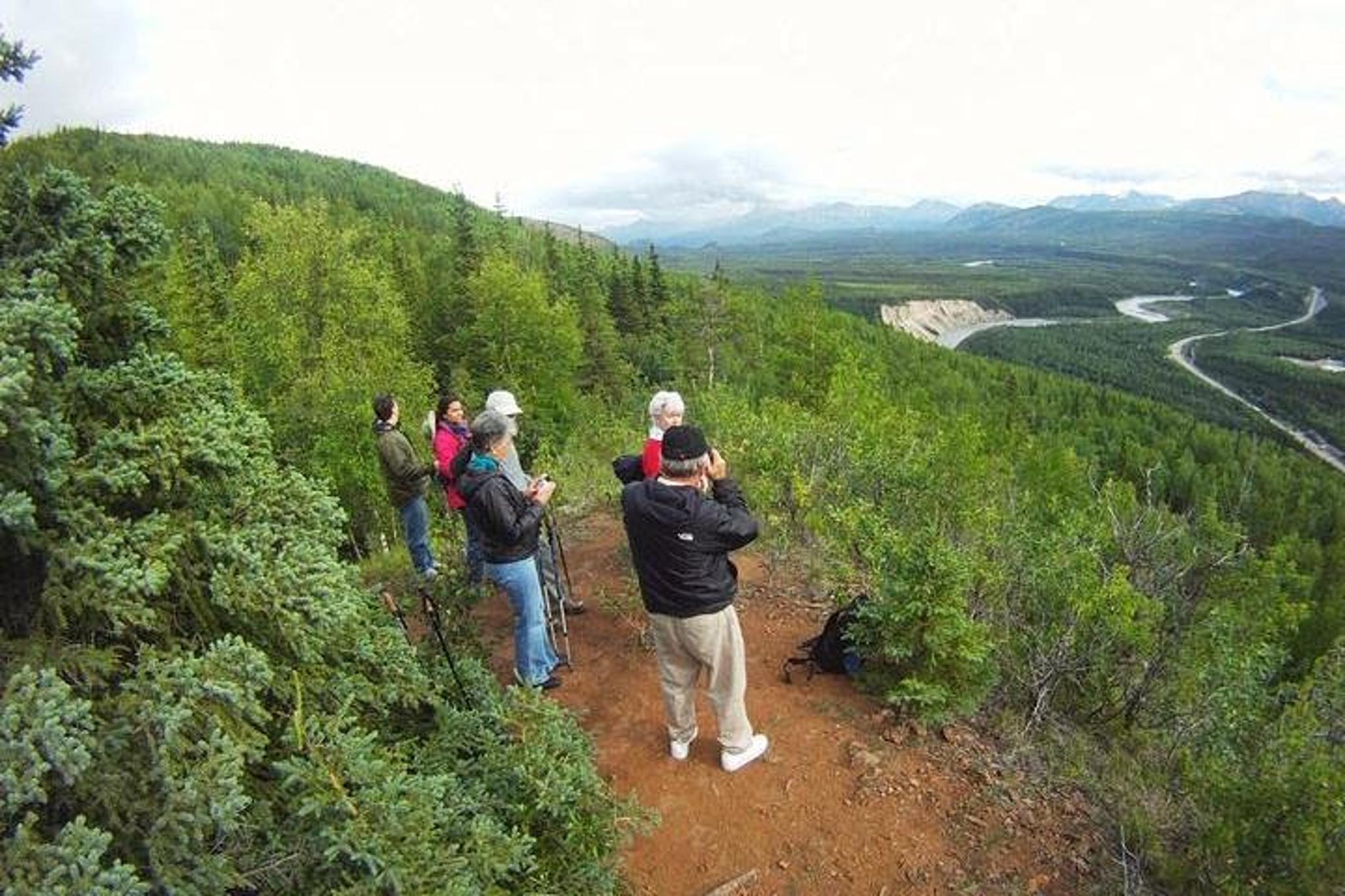 Denali Hiking Tour with Naturalist Guide 5 hr