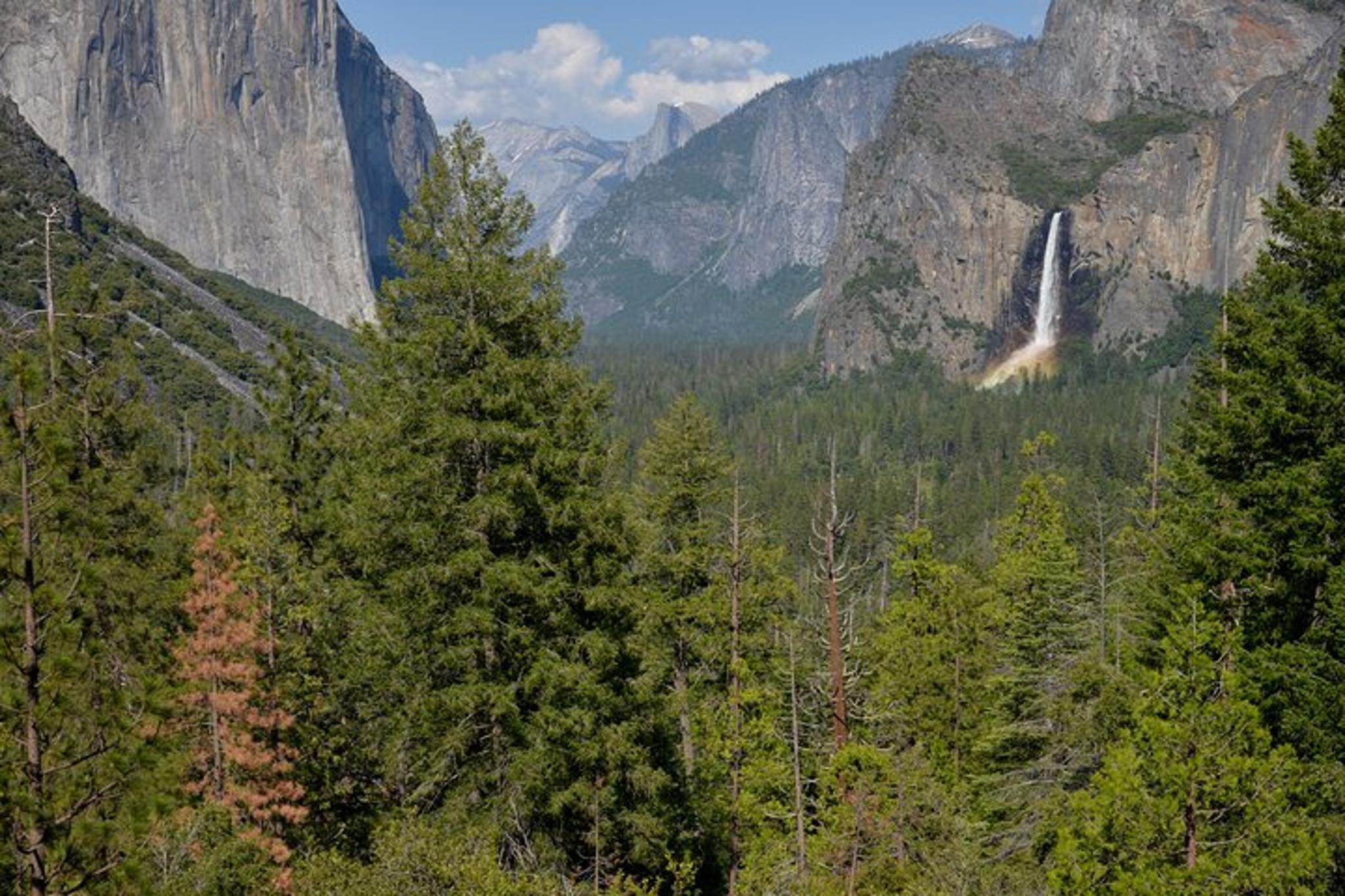 Yosemite National Park Private Tour 2 Days - Image 1