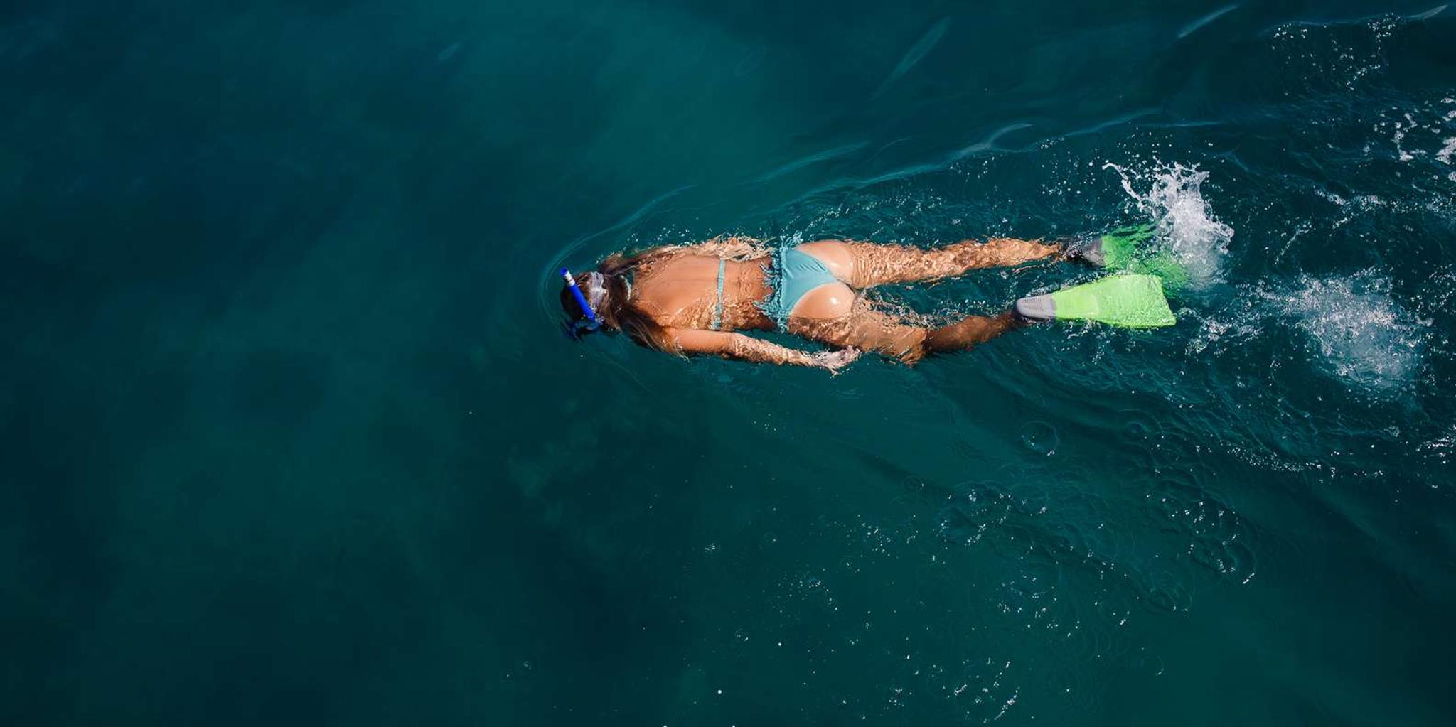 Key West Eco Safari Sandbar Tour with Snorkeling - Image 6