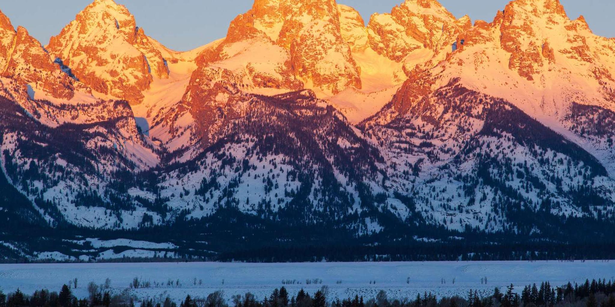 Jackson Hole Grand Teton Winter Wildlife Tour - Image 1