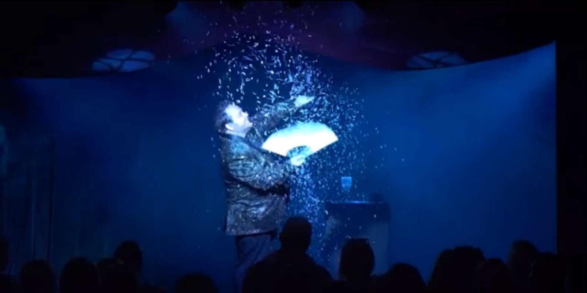Pigeon Forge Magic Show with Steven Best 1.5 hr - Image 6