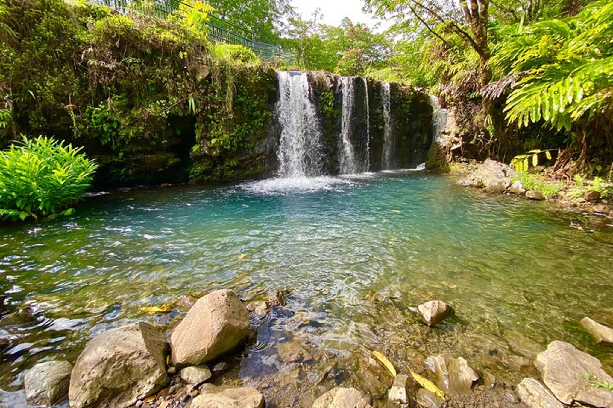 Maui Private Road Tour to Hana - Image 2