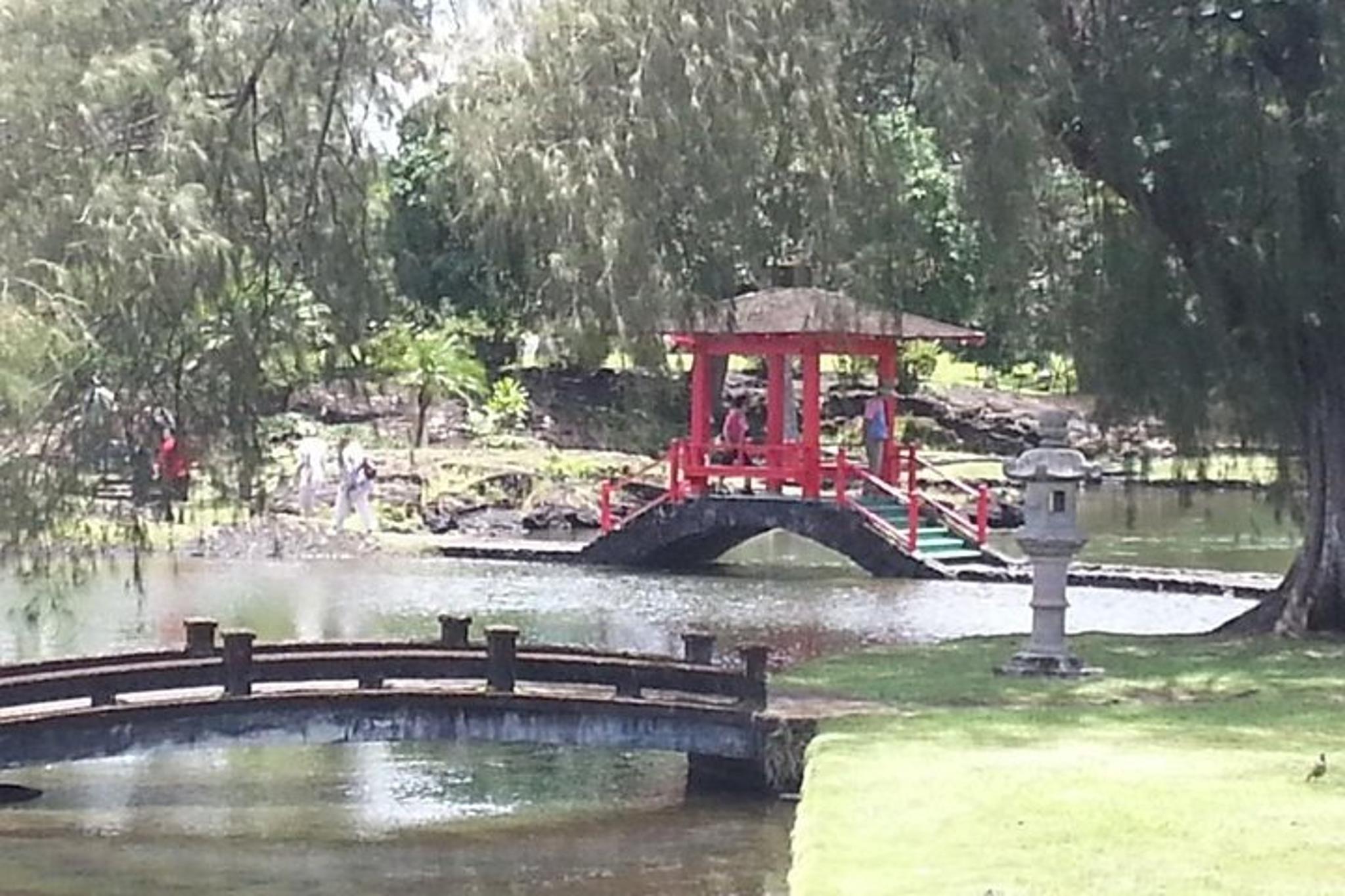 Oahu to Big Island Volcano Tour with Air Ticket - Image 6