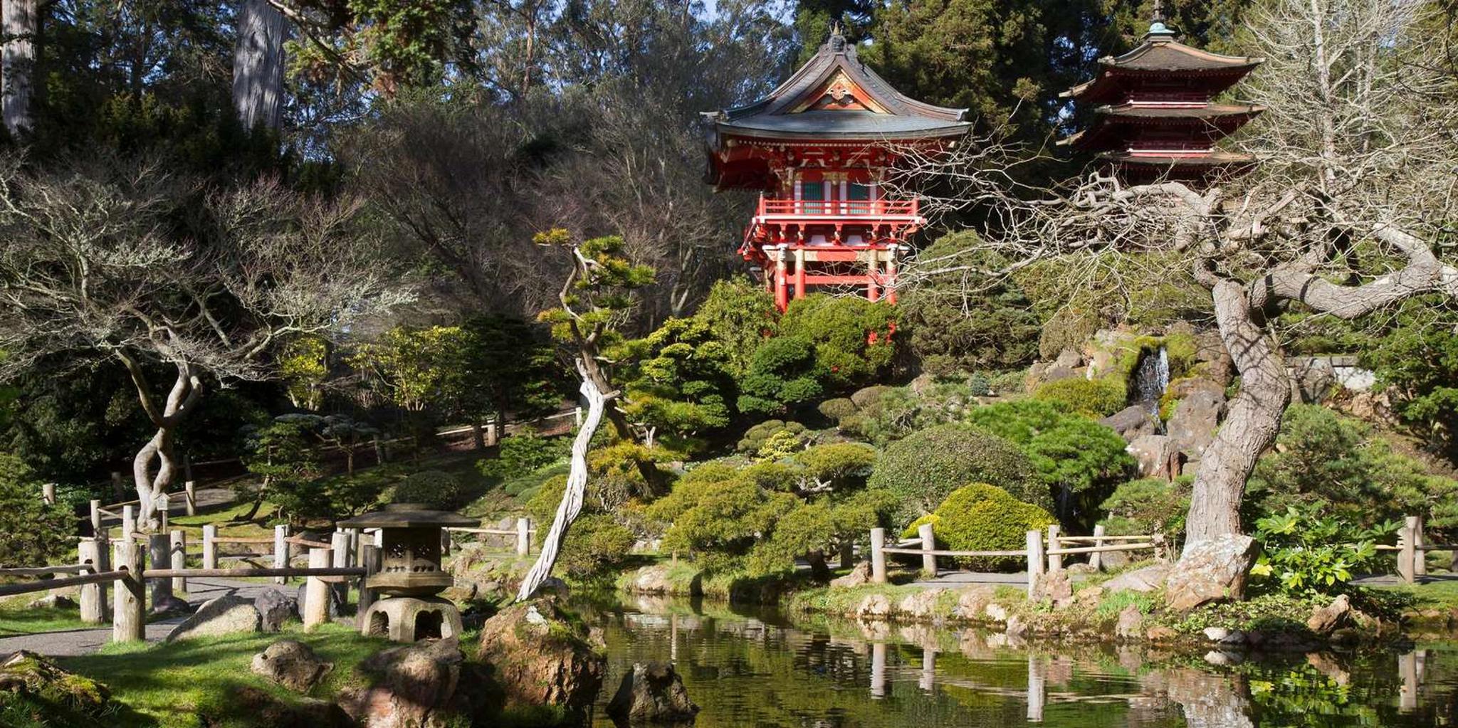 San Francisco Surrey Bike Rental in Golden Gate Park - Image 4