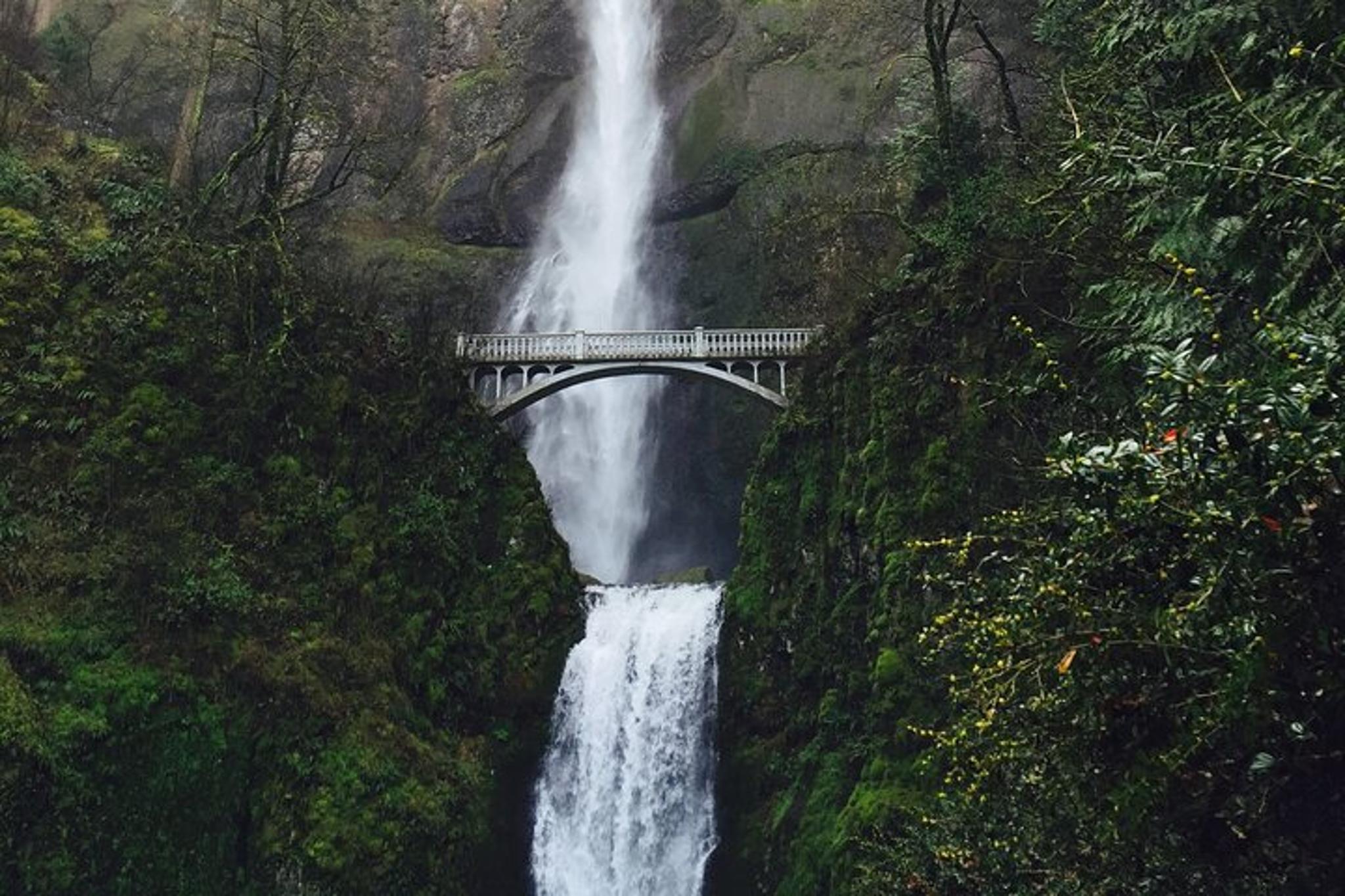 Portland Columbia River Gorge & Waterfalls Tour - Image 4