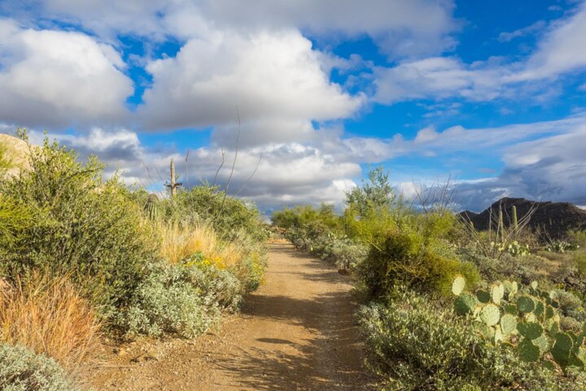 Tucson Self-Guided Driving Audio Tour - Image 2