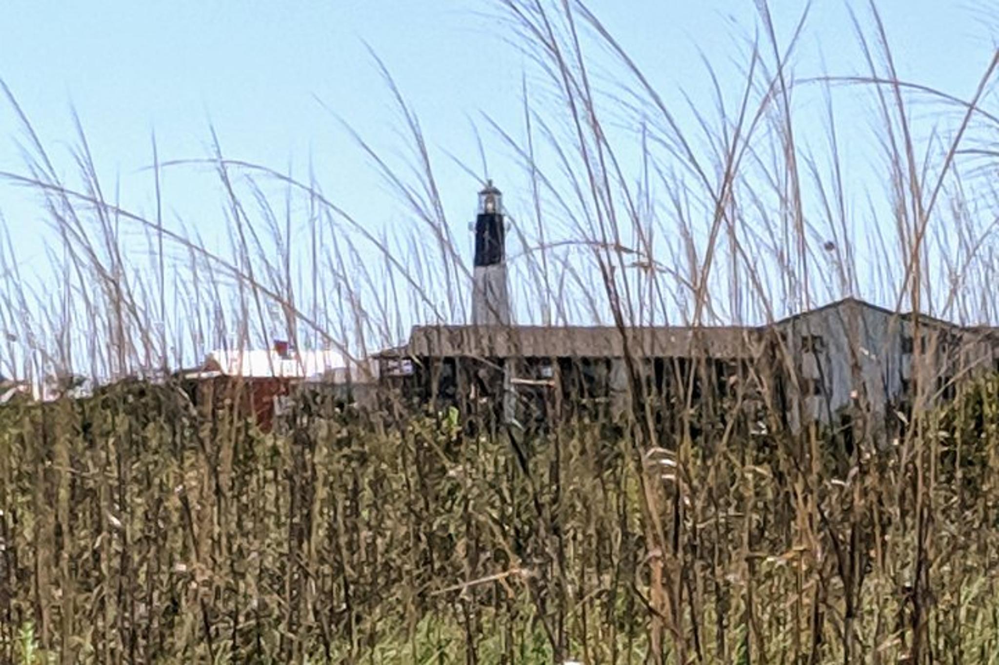 Savannah Historic District & Islands Private Tour - Image 3