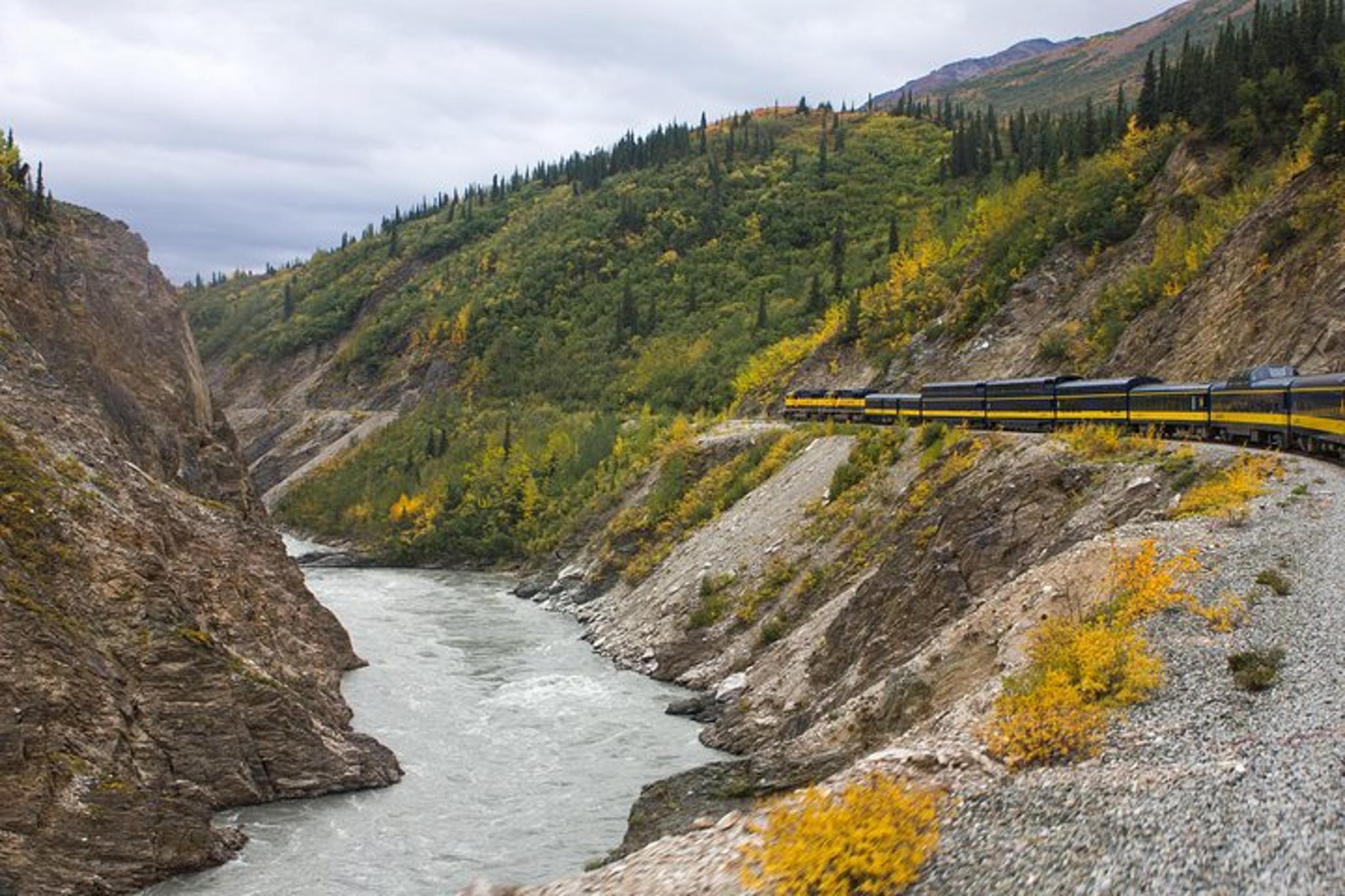 Denali to Anchorage Train Journey - Image 4