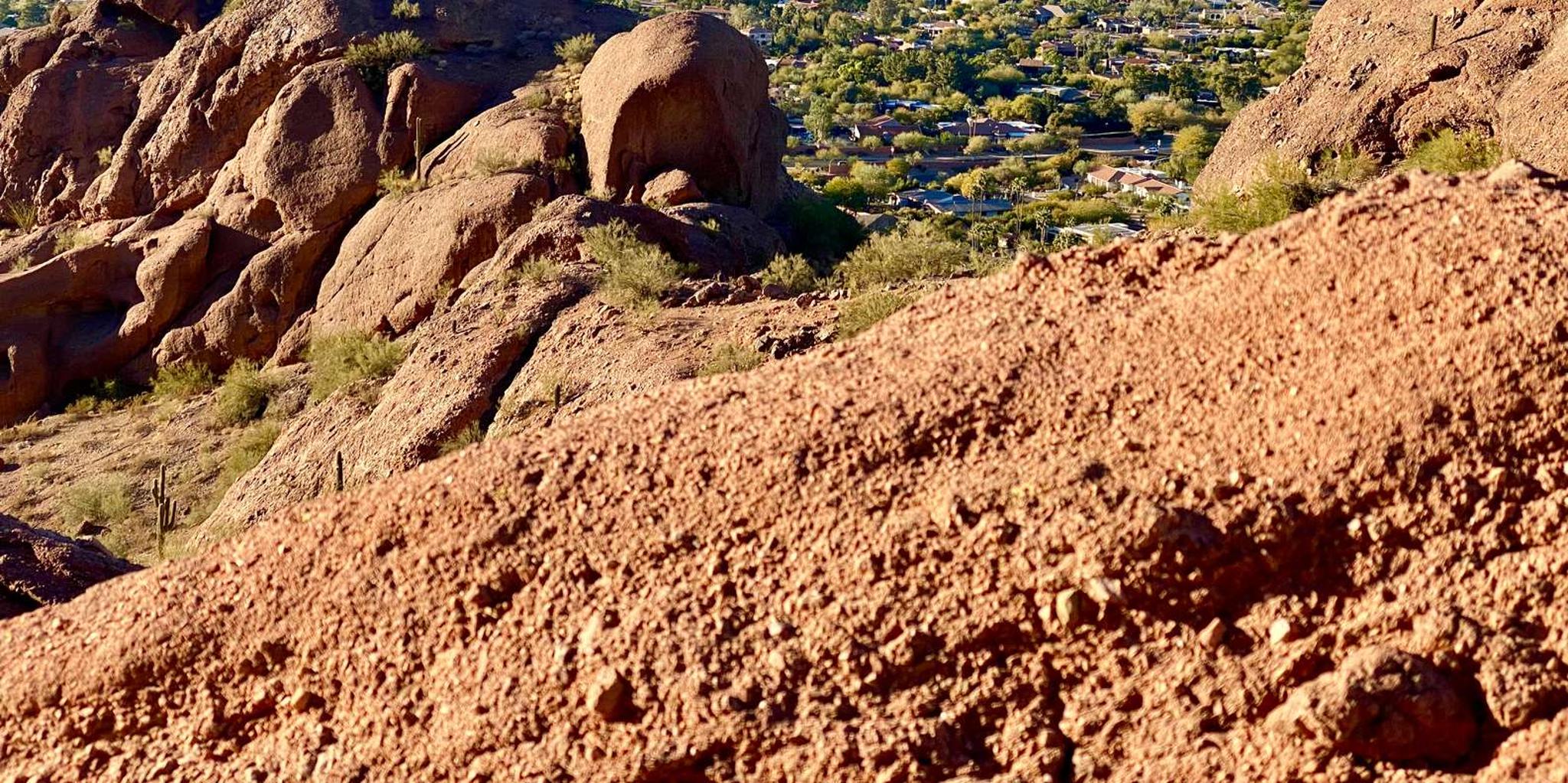 Phoenix Guided Hiking Adventure in the Sonoran Desert - Image 4