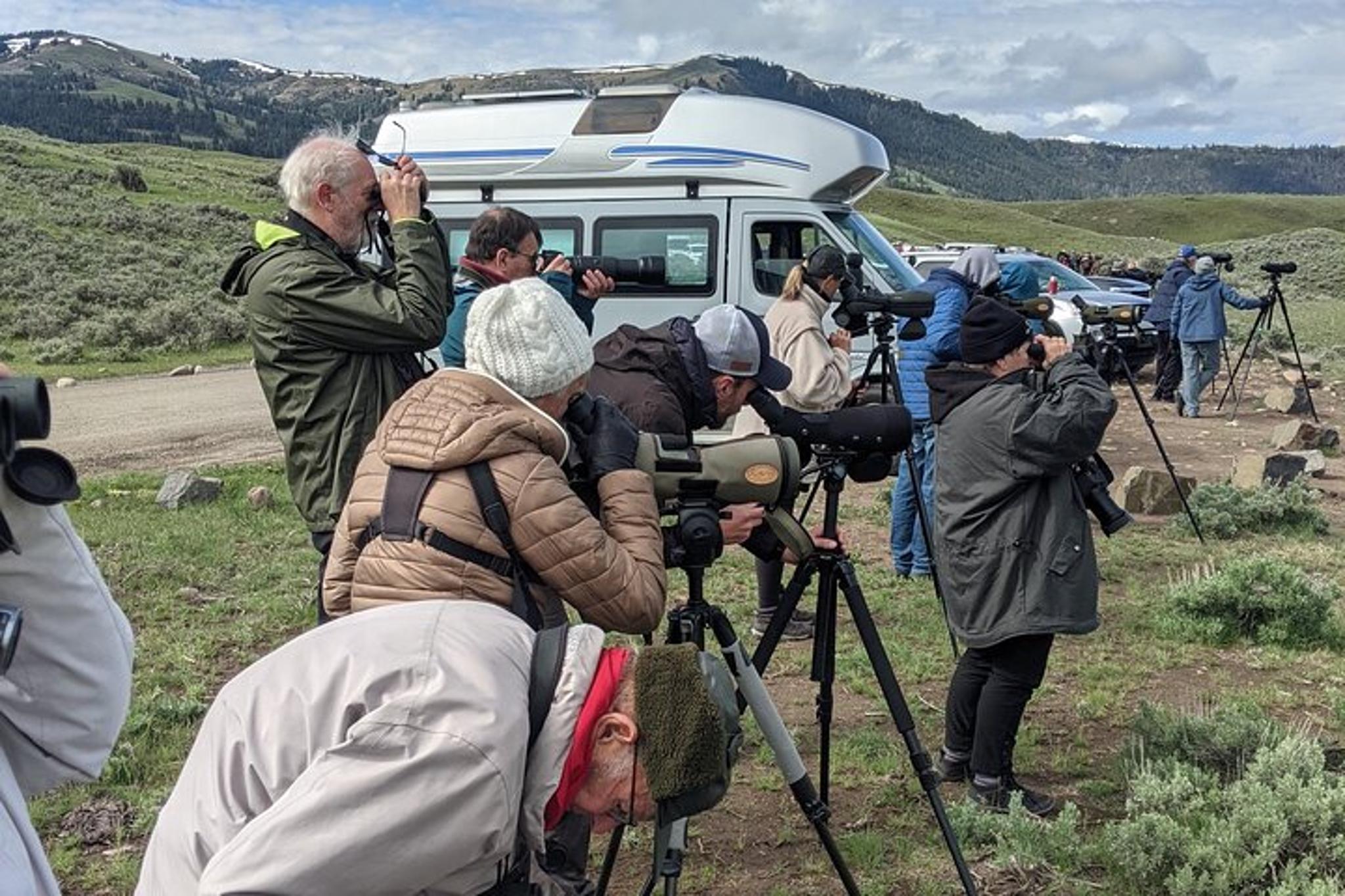 Yellowstone National Park Wildlife Tour - Image 6