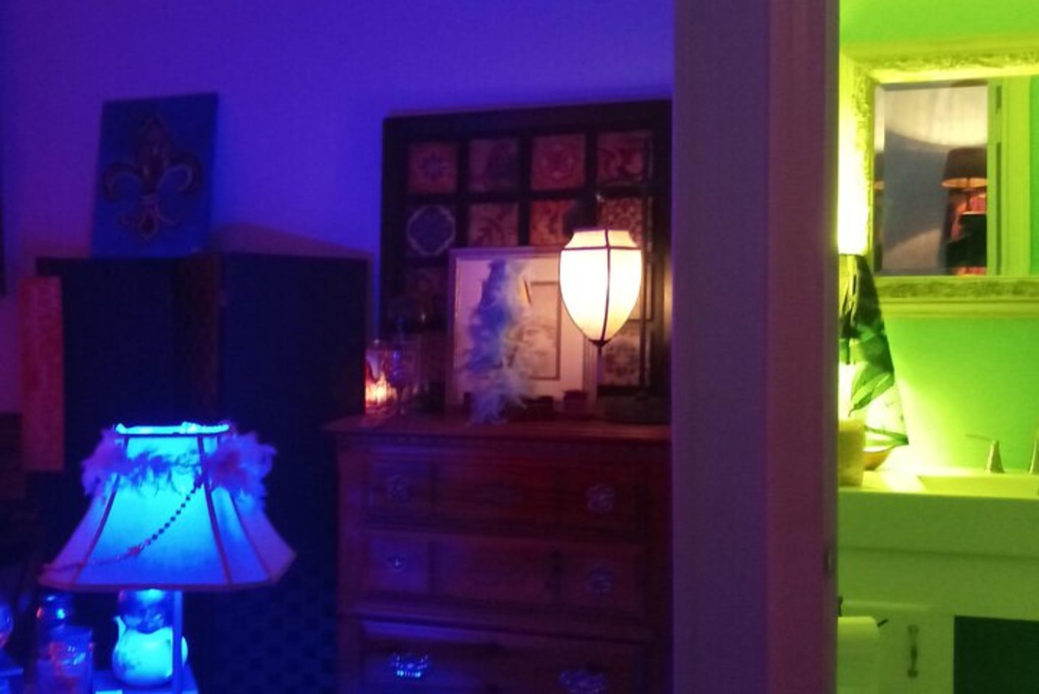 New Orleans Seance and Psychic Tour - Image 3