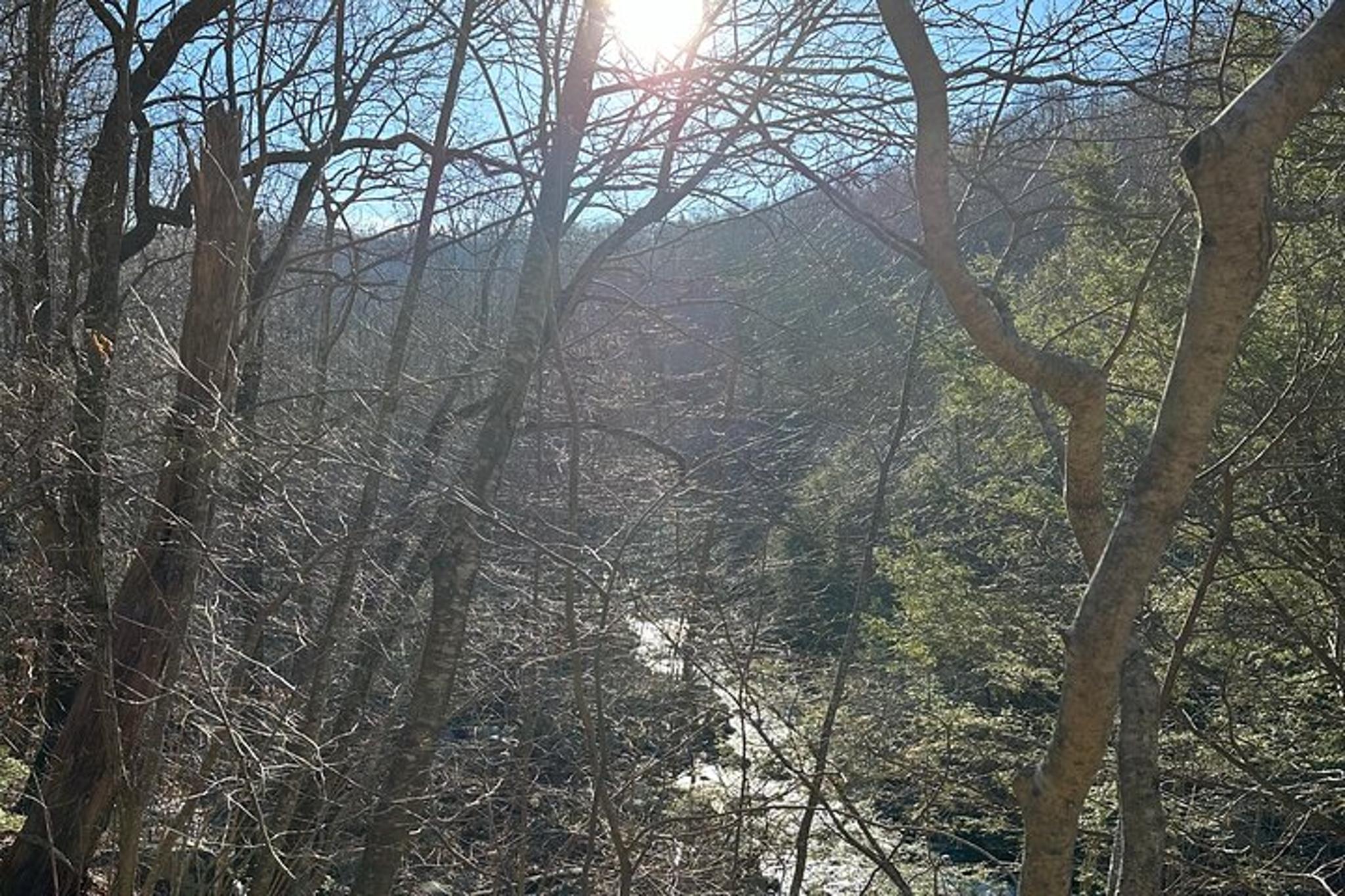 Virginia Trout Fishing Excursion - Image 4