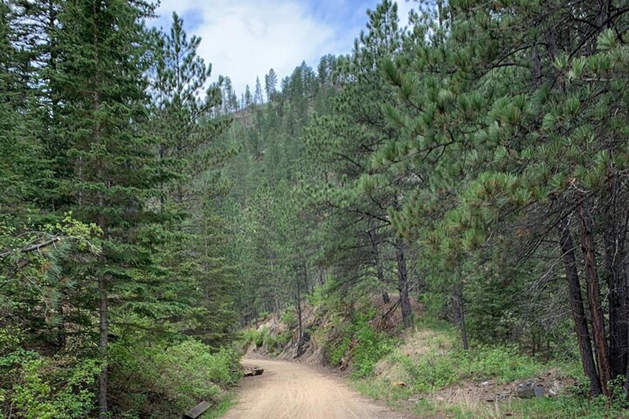 Black Hills Mickelson Trail Bicycling Tour - Image 6