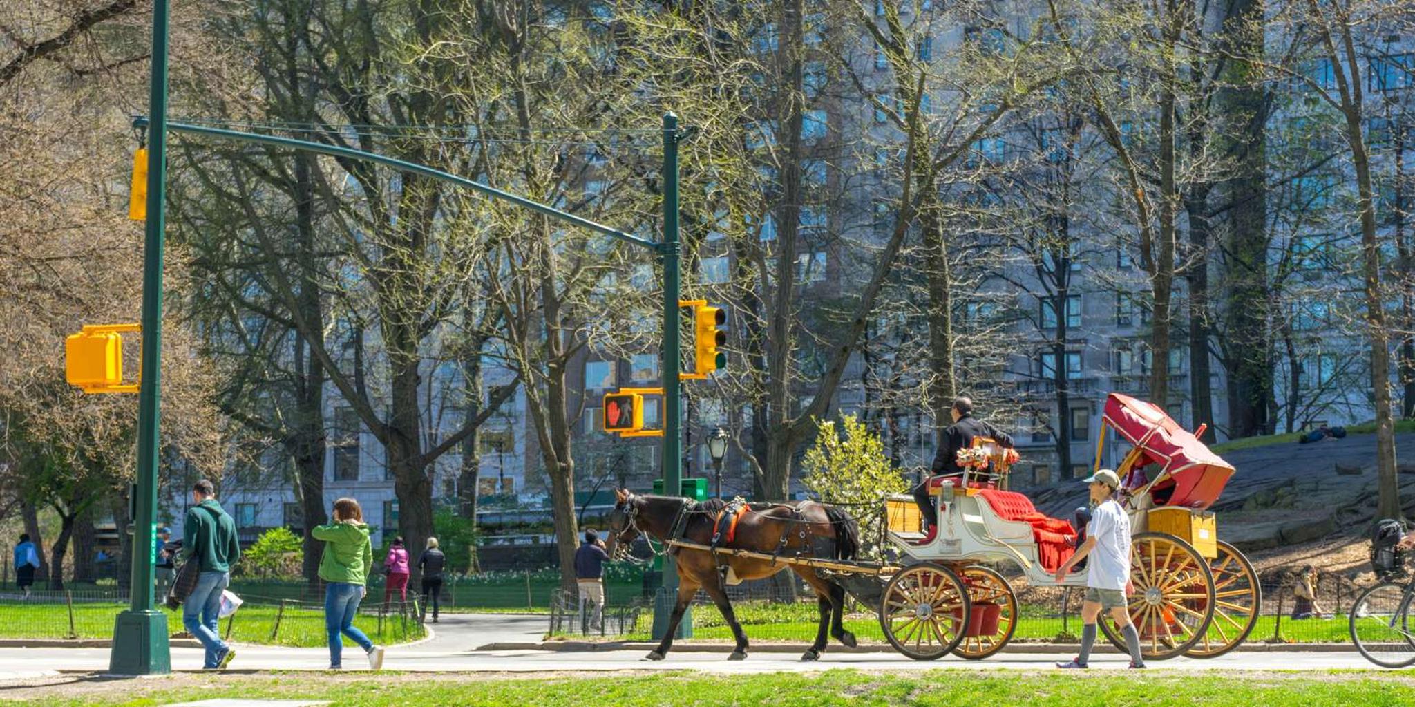 New York City Central Park Horse Carriage Ride - Image 3