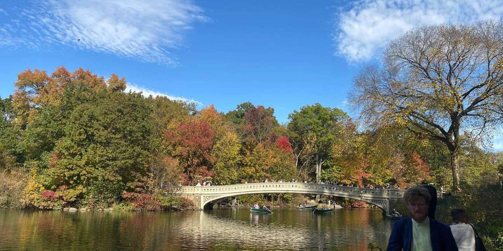 New York City Central Park Pedicab Tour - Image 2