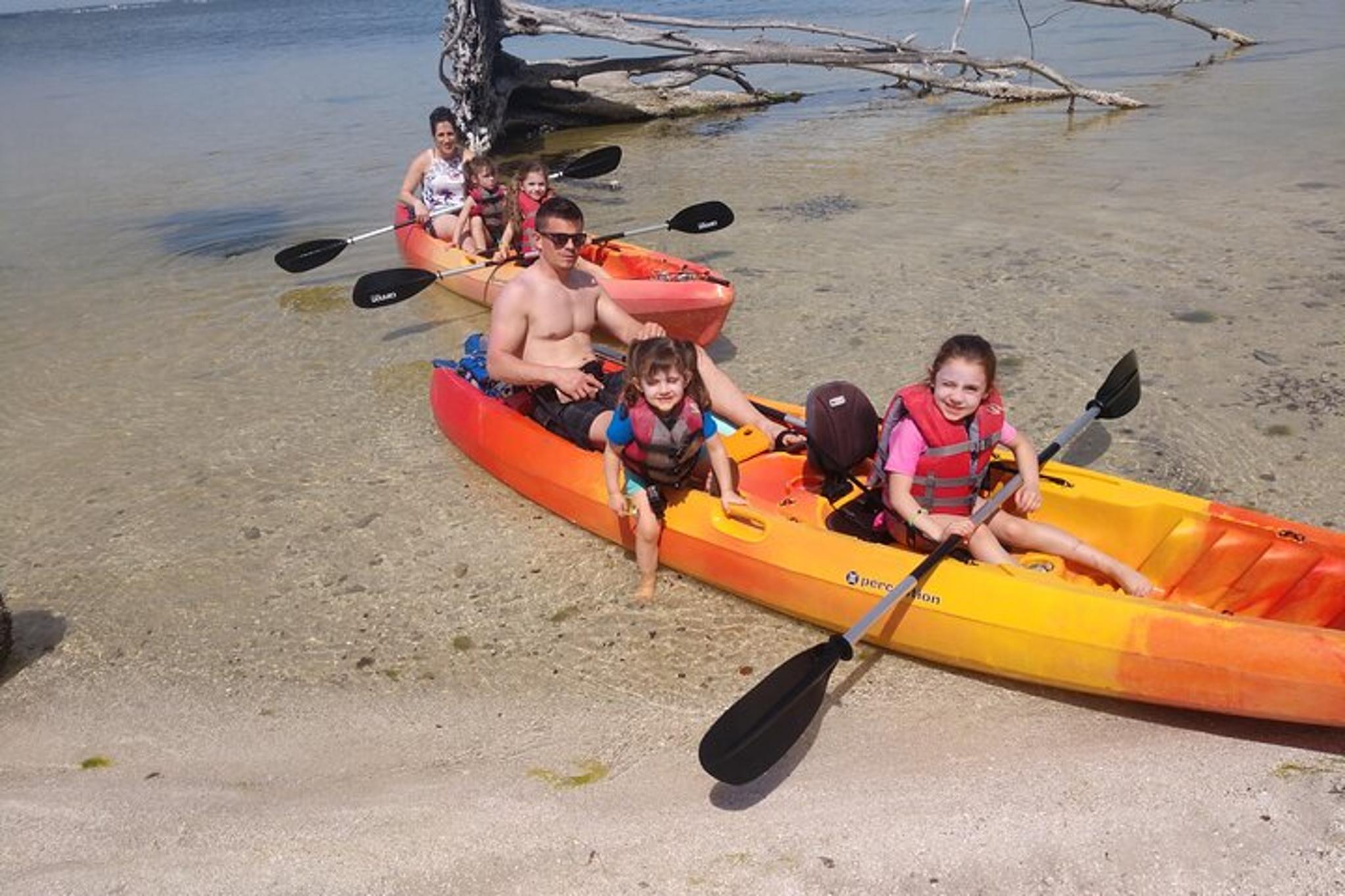 Indian River Kayak Rental with Manatee & Dolphin Sightings 2 hr - Image 2
