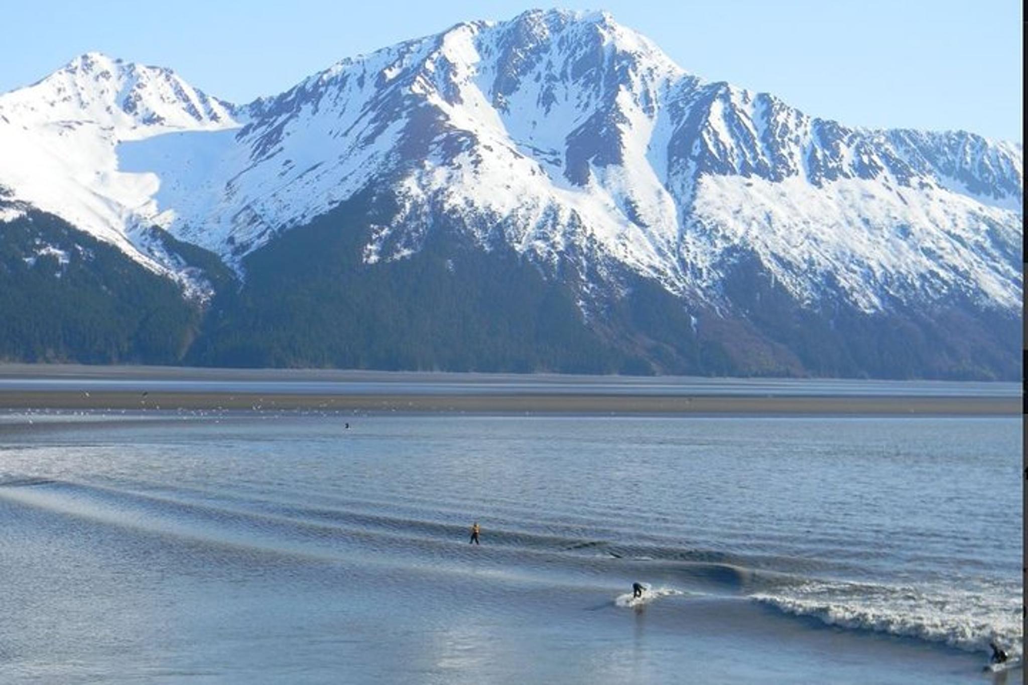 Seward to Anchorage Private Tour and Cruise Transfer - Image 4