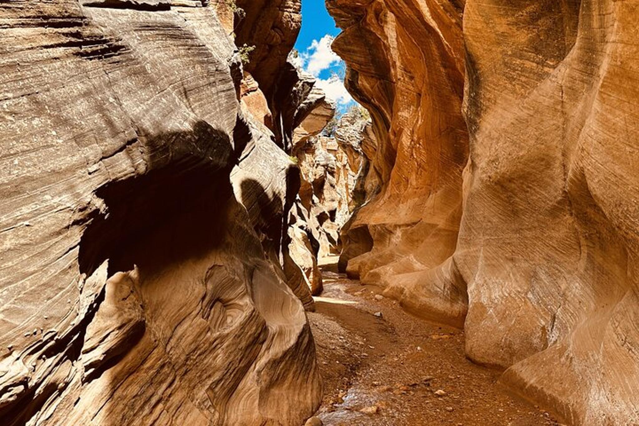 Buckskin Gulch Wire Pass Guided Hike