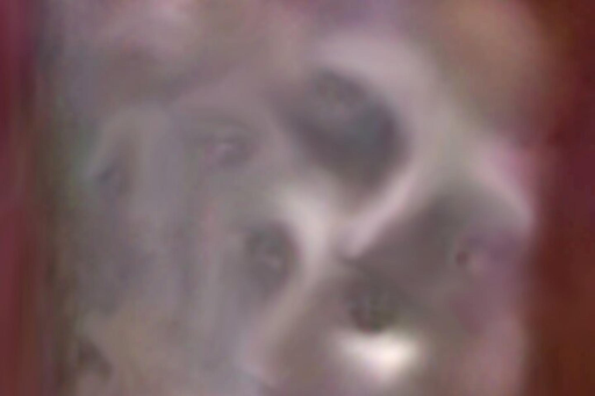 Williamsburg Ghost Tour with Real Photos - Image 5