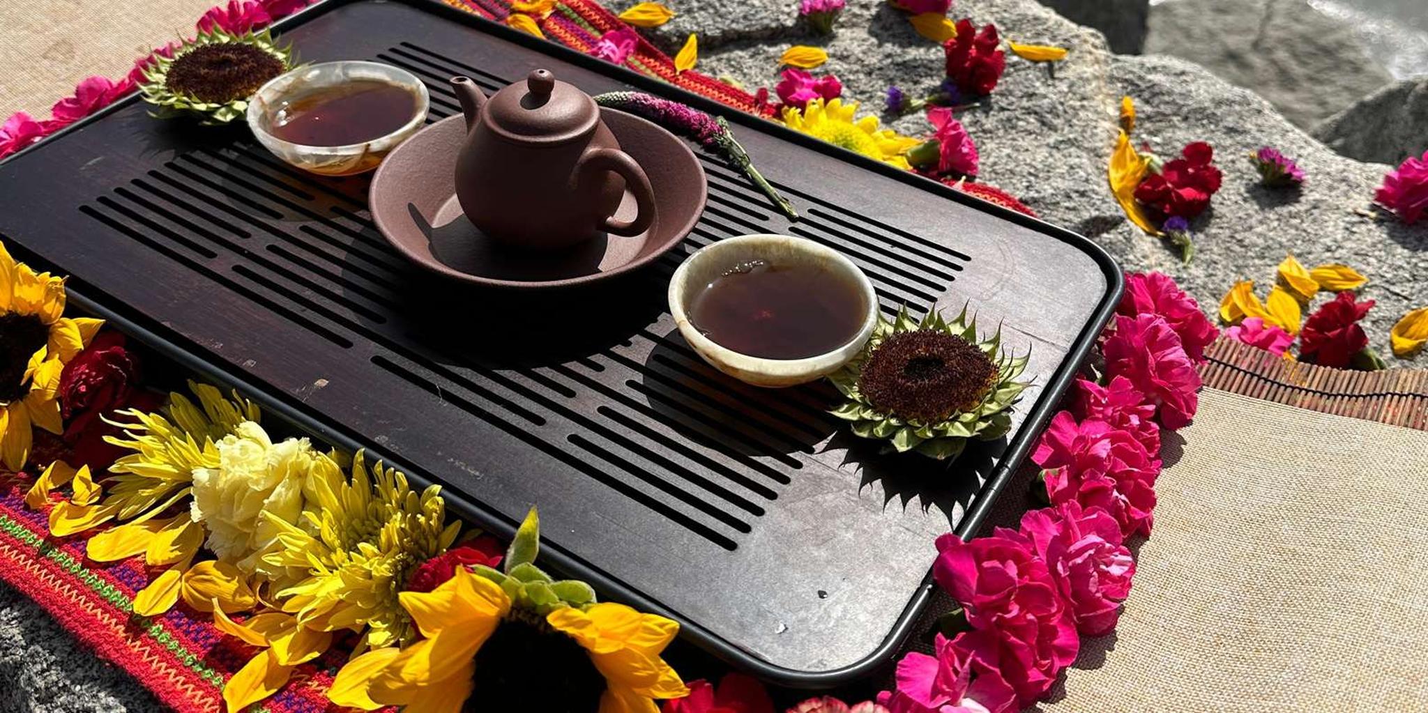 Santa Barbara Nature Trail Hike and Tea Ceremony - Image 5