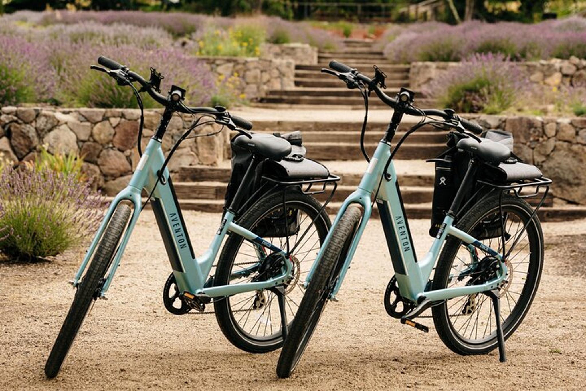 Sonoma Electric Bike Wine Tasting Tour with Lunch - Image 3