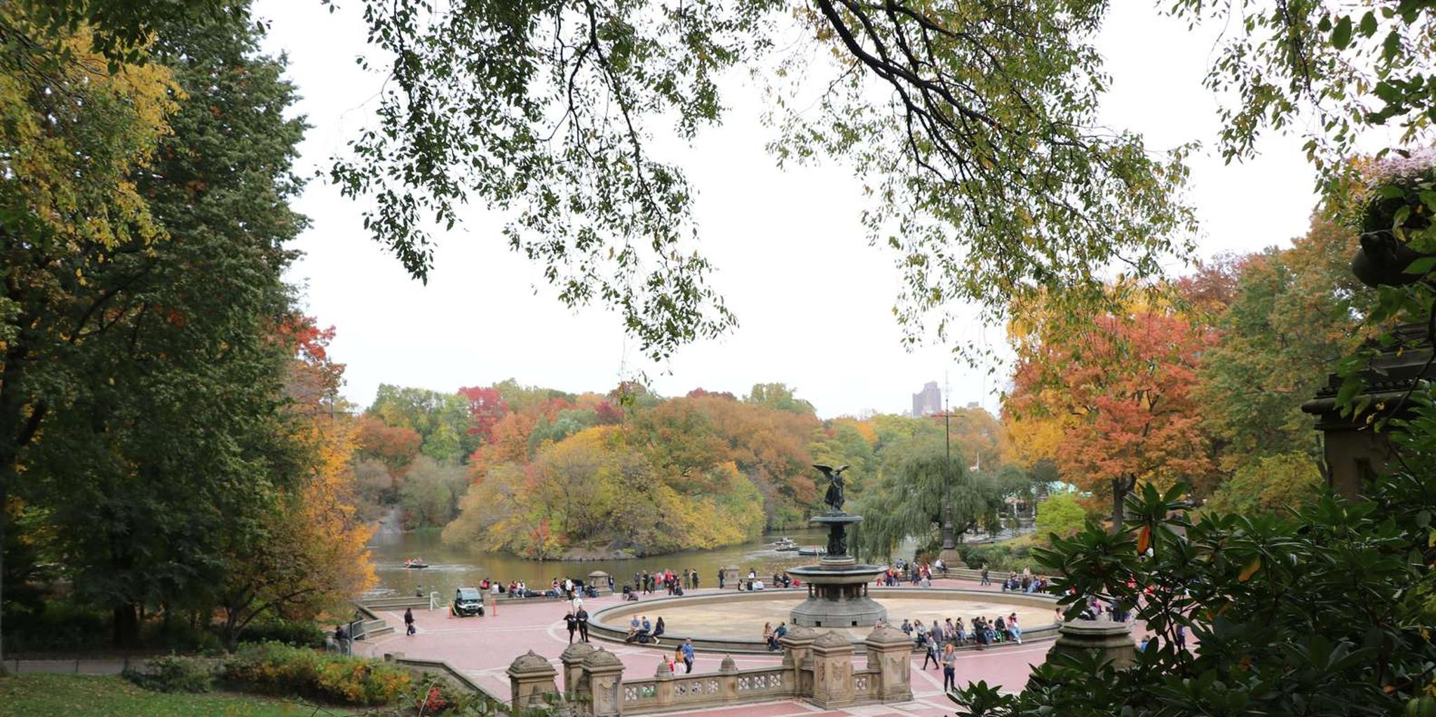 New York Horse Carriage Ride with Tavern on the Green - Image 4