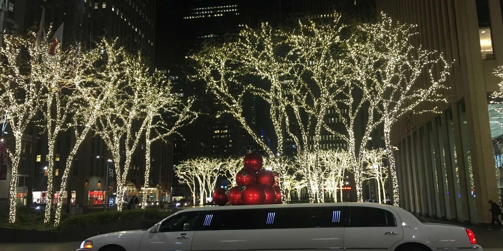 Brooklyn Christmas Limousine Tour - Image 5