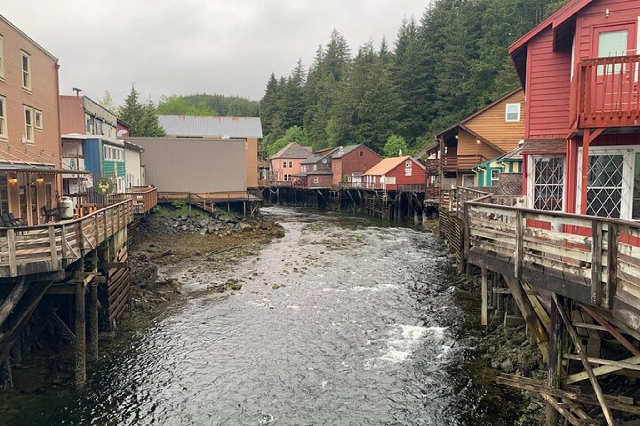 Ketchikan Custom Island Tour - Image 3