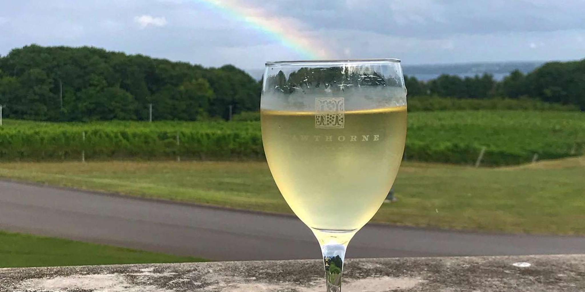 Traverse City Wine Tour on Old Mission Peninsula - Image 6