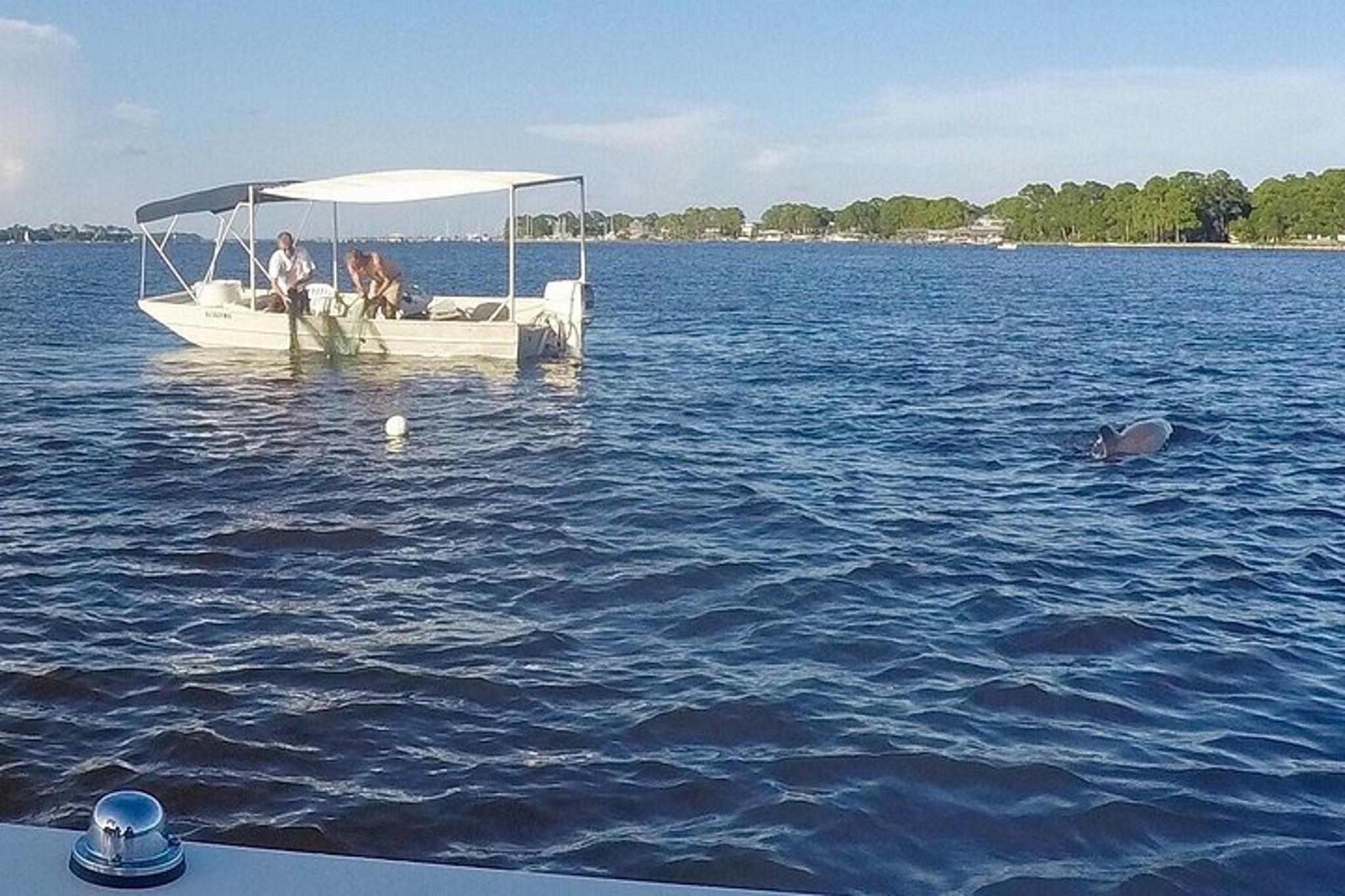 Orange Beach Sightseeing Cruise
