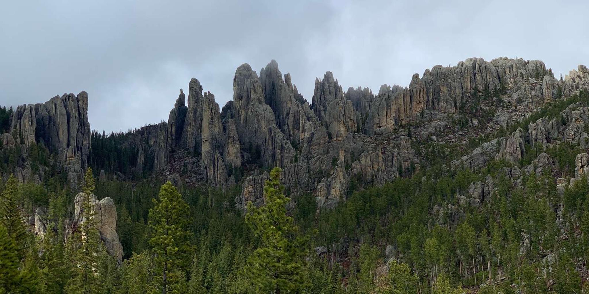 Mt Rushmore Monument Tour with Crazy Horse and Custer State Park - Image 4