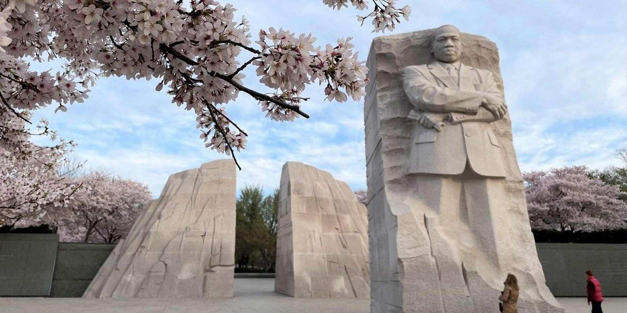 Washington Monuments Tour - Image 3