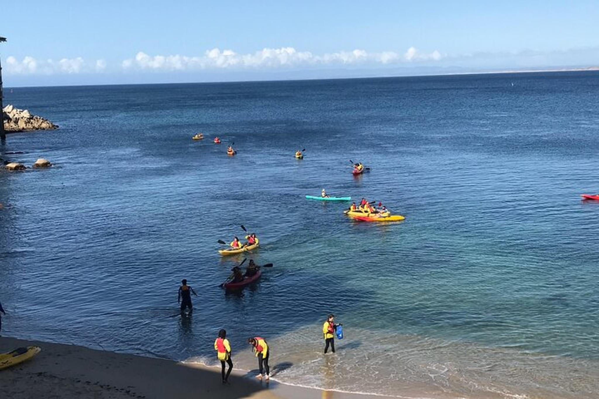 Monterey Bay Kayak Rental: Otters, Seals, and Sea Lions - Image 3