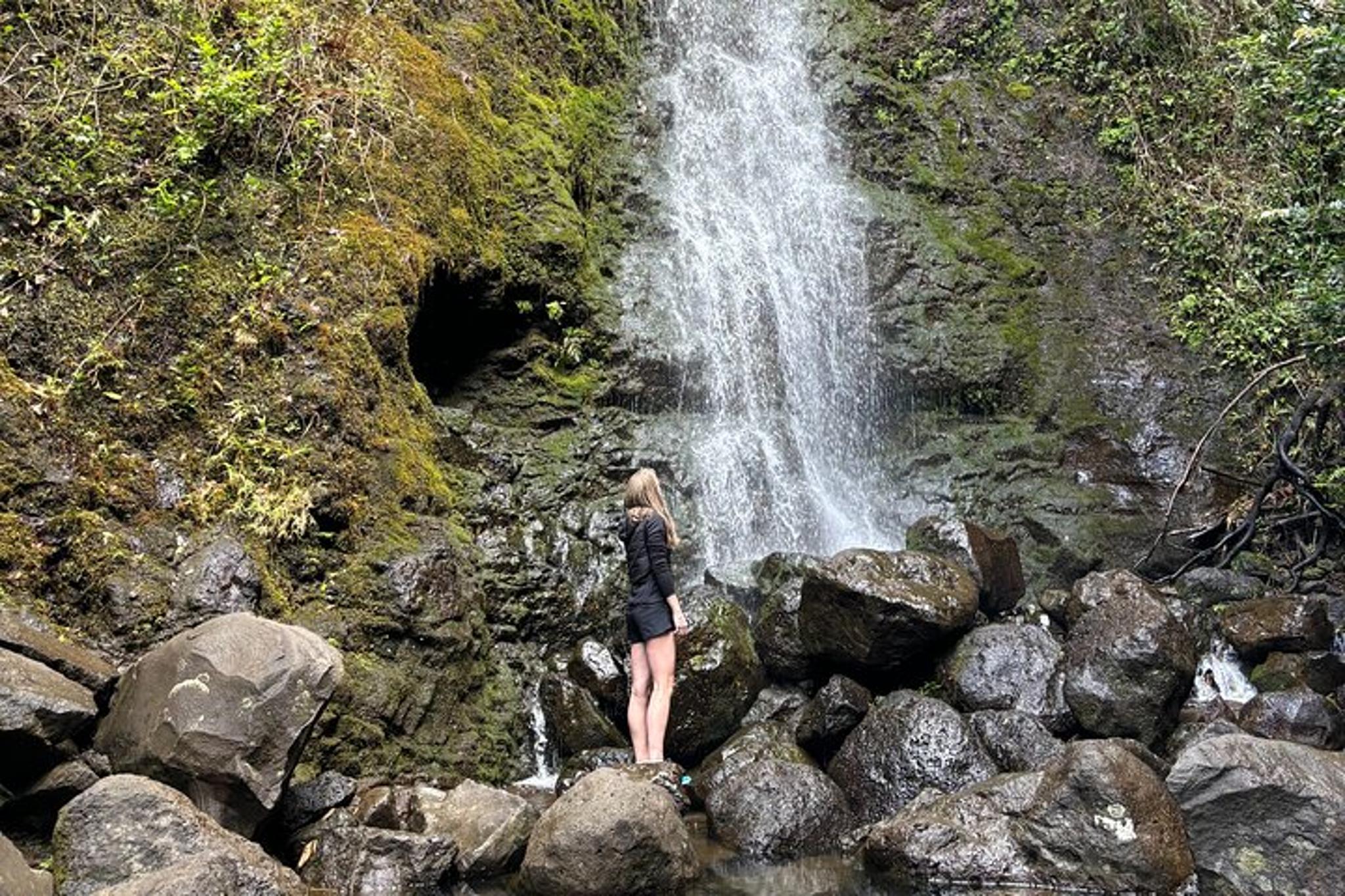 Oahu Circle Island Tour with Custom Itinerary - Image 2