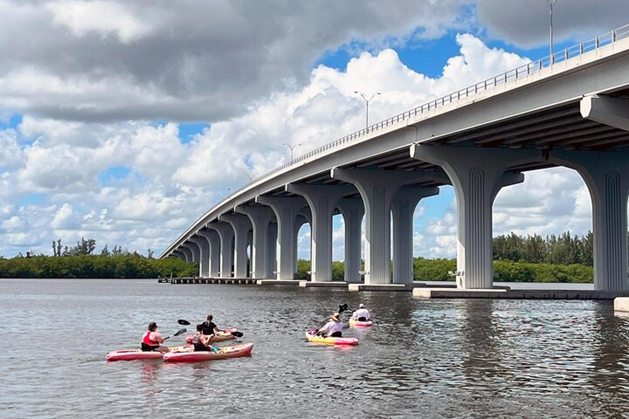 Vero Beach Kayak and Paddle Board Tour - Image 4