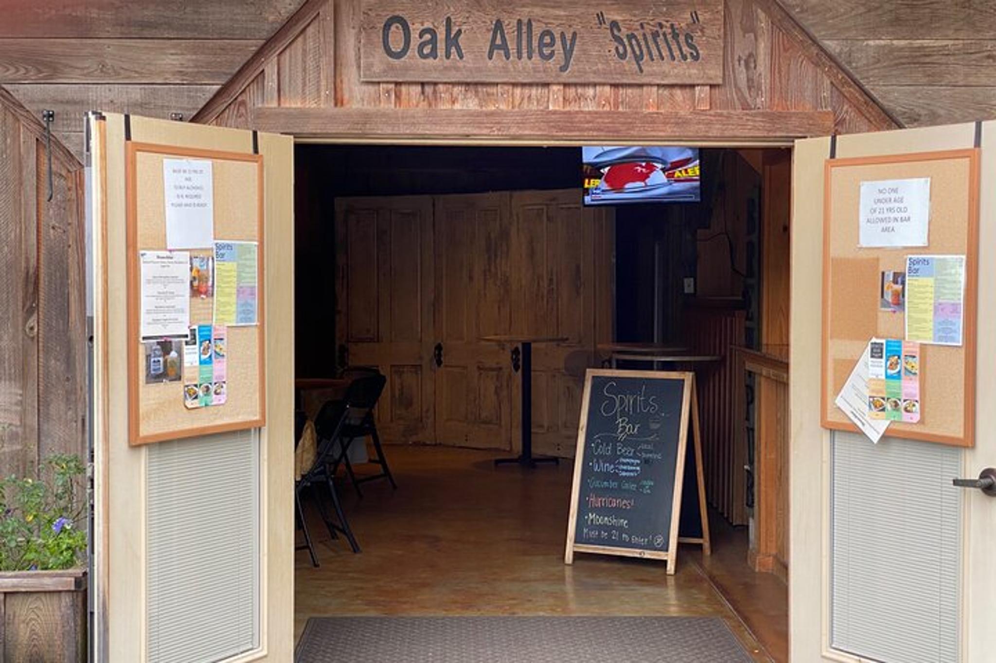 New Orleans Oak Alley Plantation and Airboat Tour - Image 4