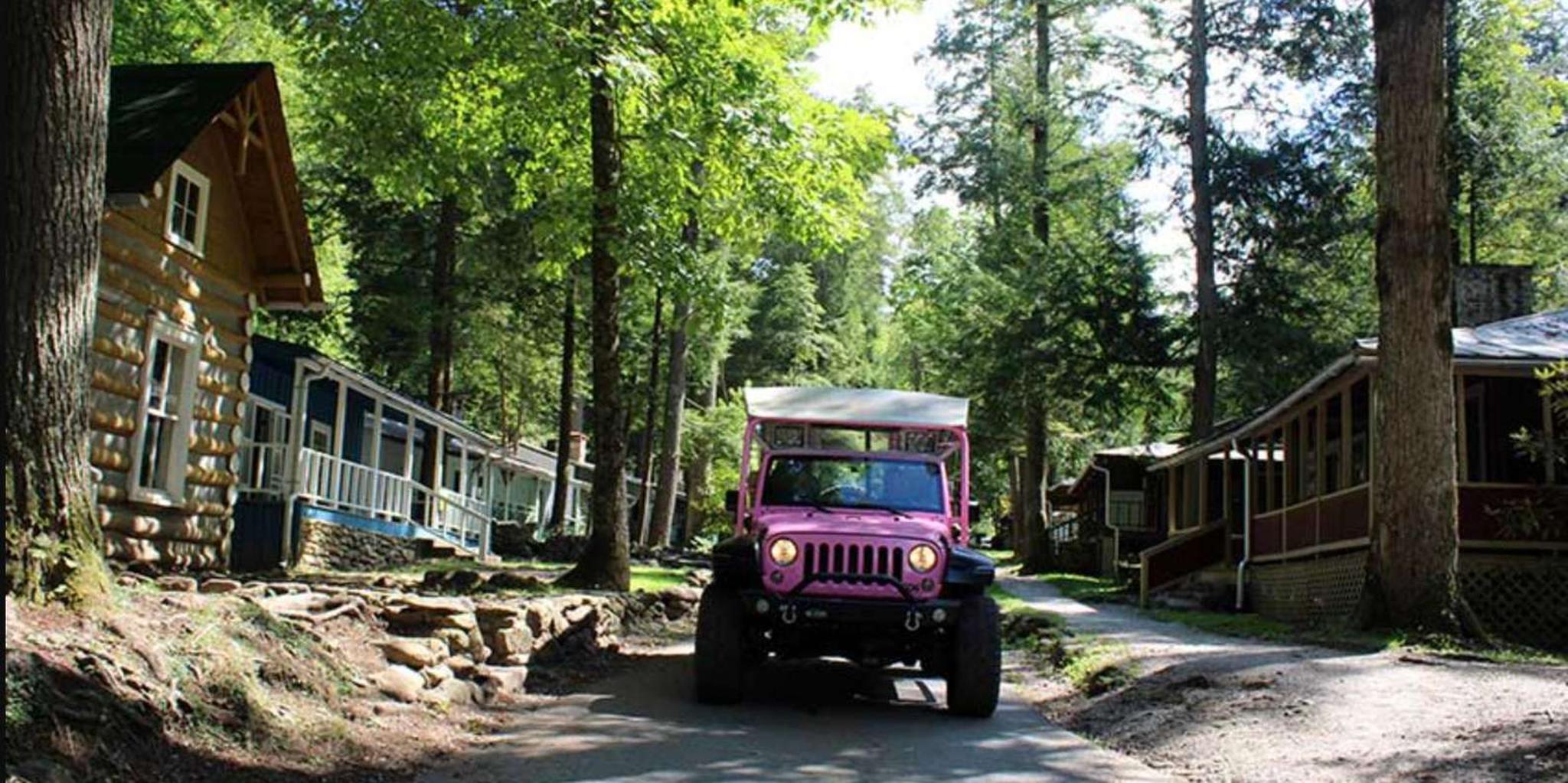 Great Smoky Mountains Elkmont Historic District Tour - Image 4