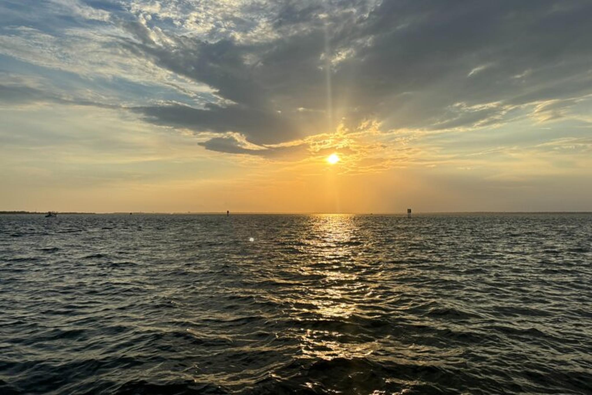 Destin Dolphin Watching Tour at Sunset - Image 2