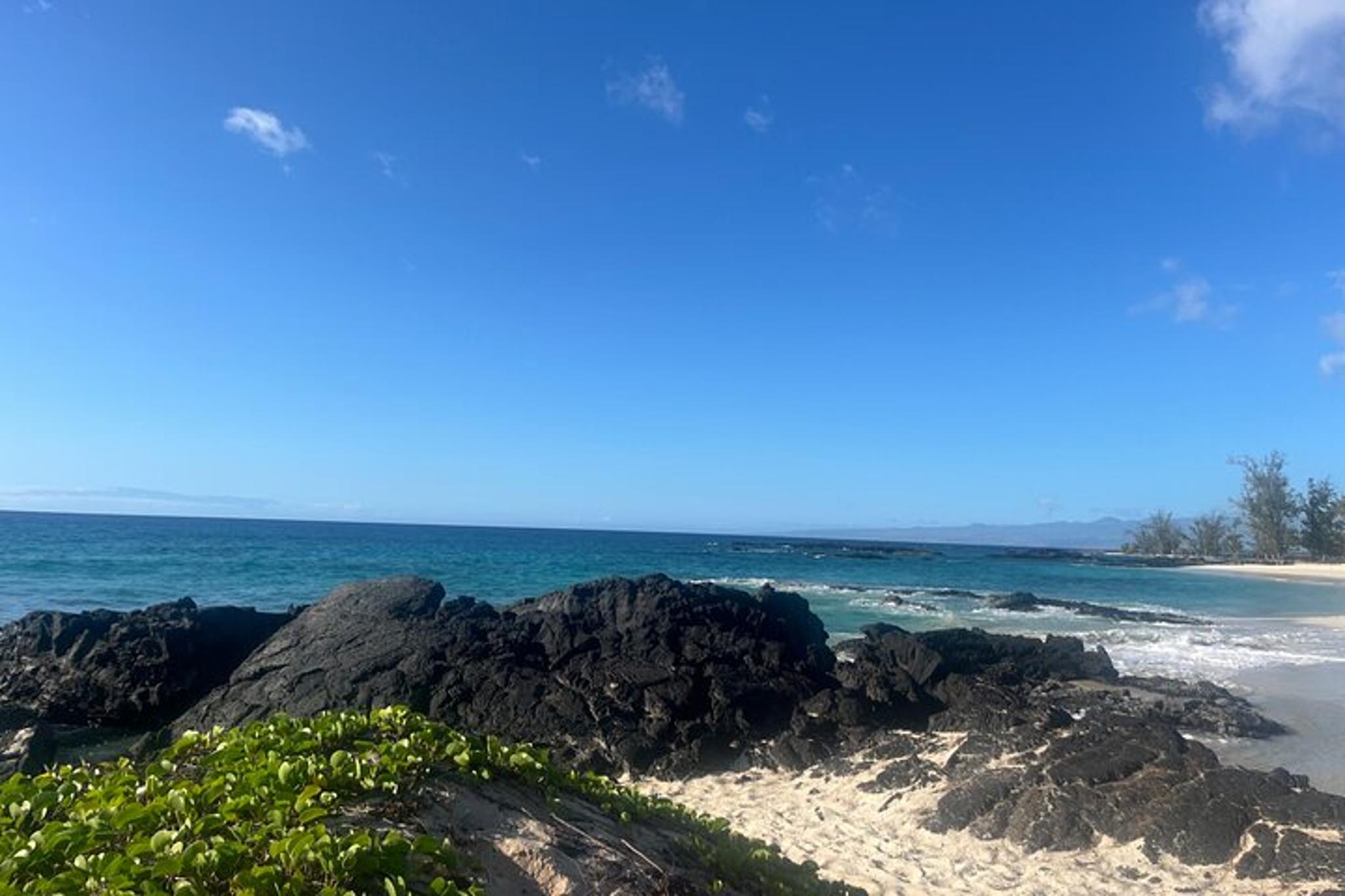 Kailua-Kona Hike and Swim with Native Hawaiian - Image 3