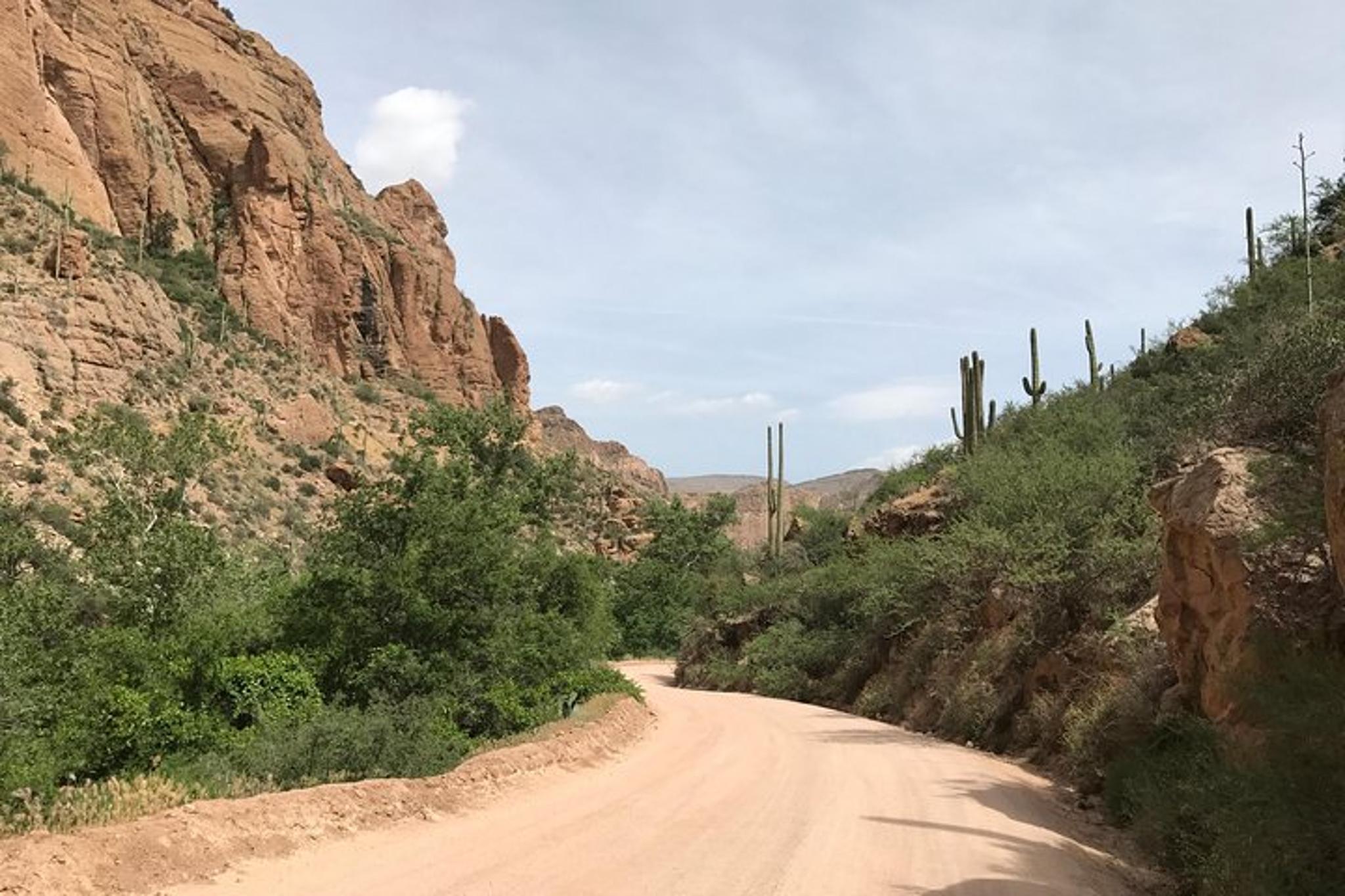 Phoenix Apache Trail and Dolly Steamboat Tour - Image 4