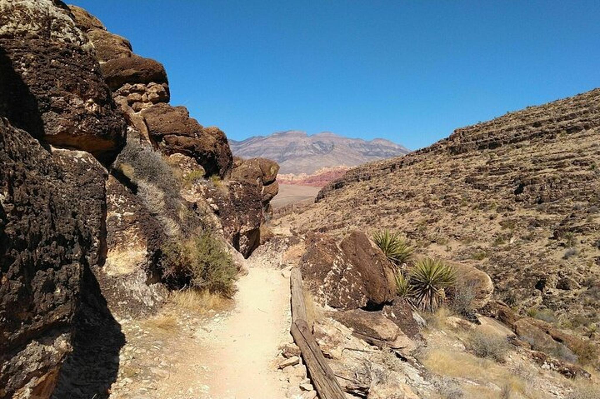 Las Vegas Animal Petting and Sunset Hike - Image 6