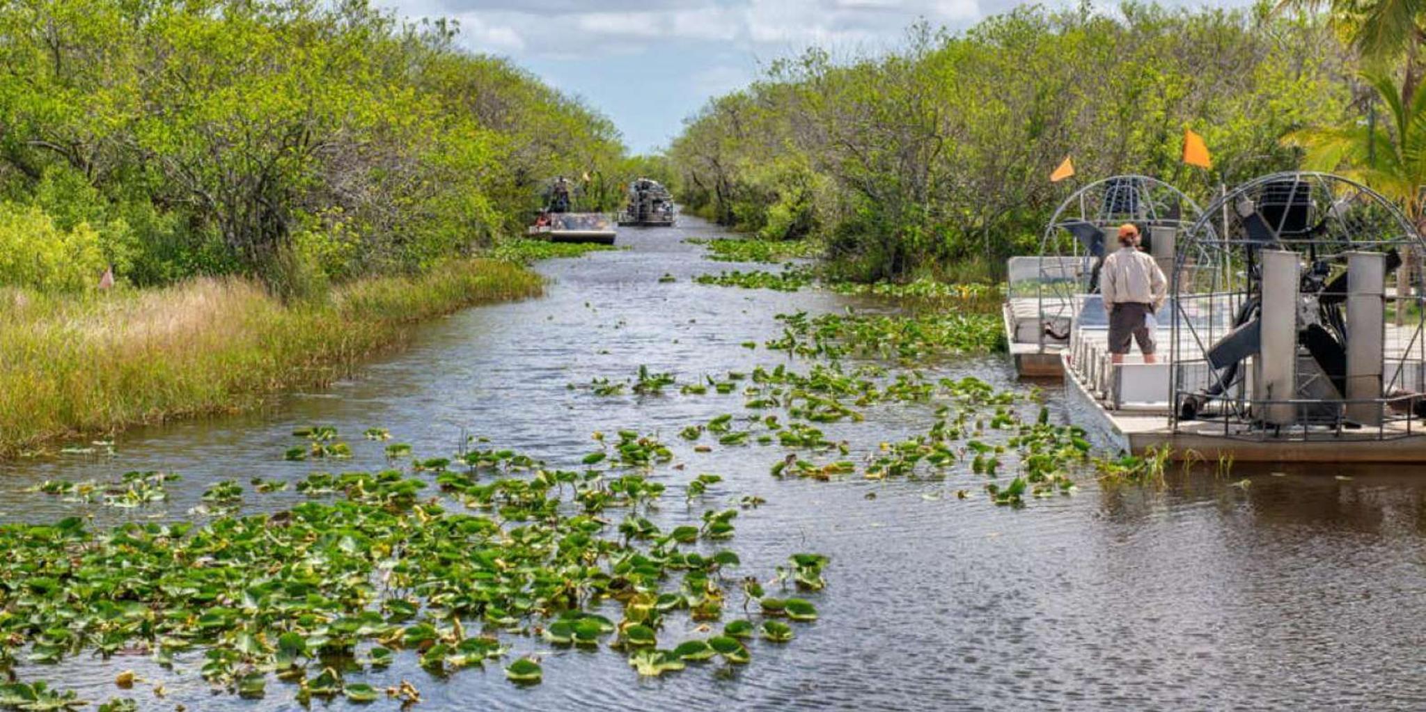 Miami Everglades Airboat Tour - Image 2