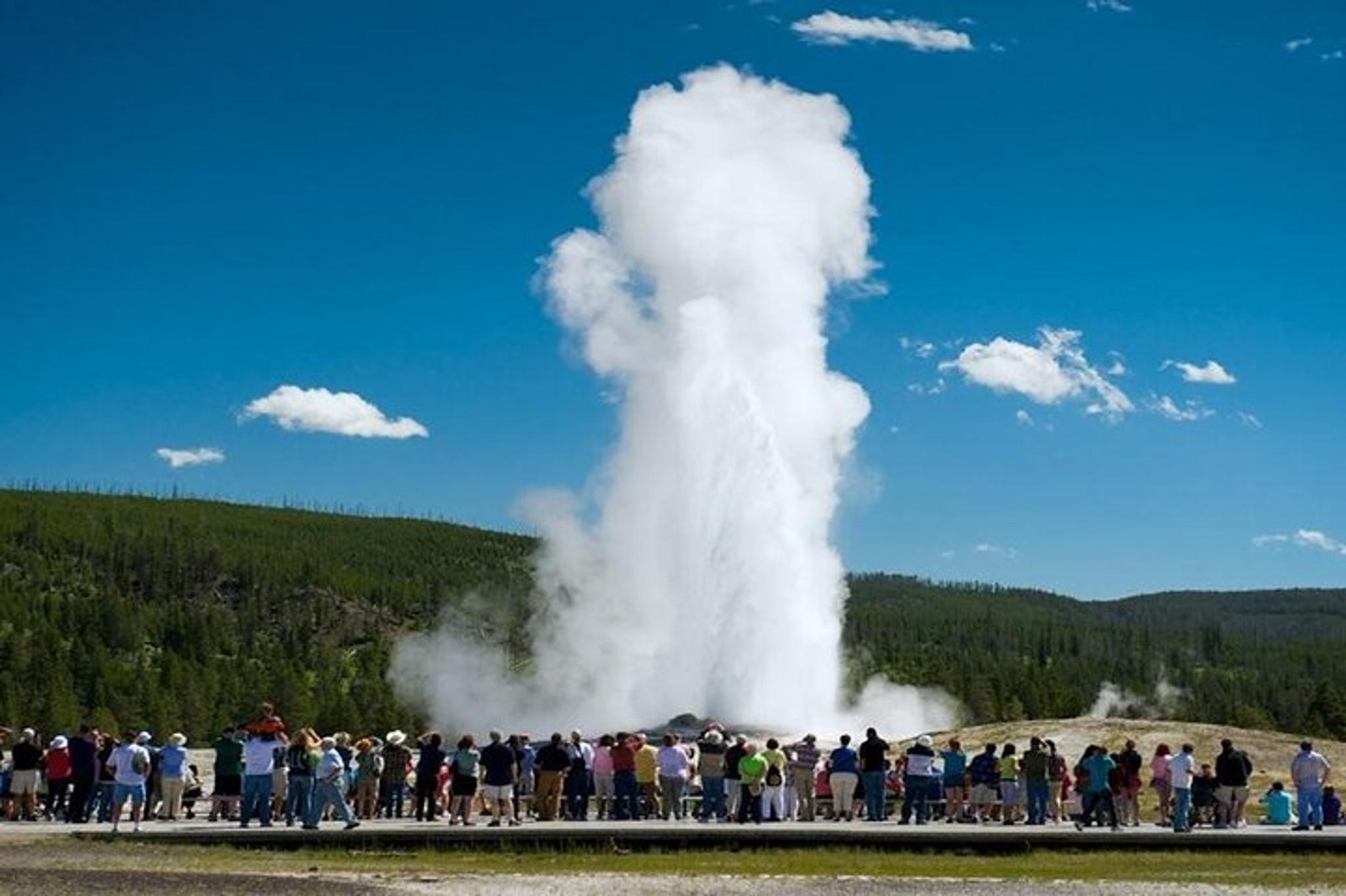 Bozeman Yellowstone Full Day Tour