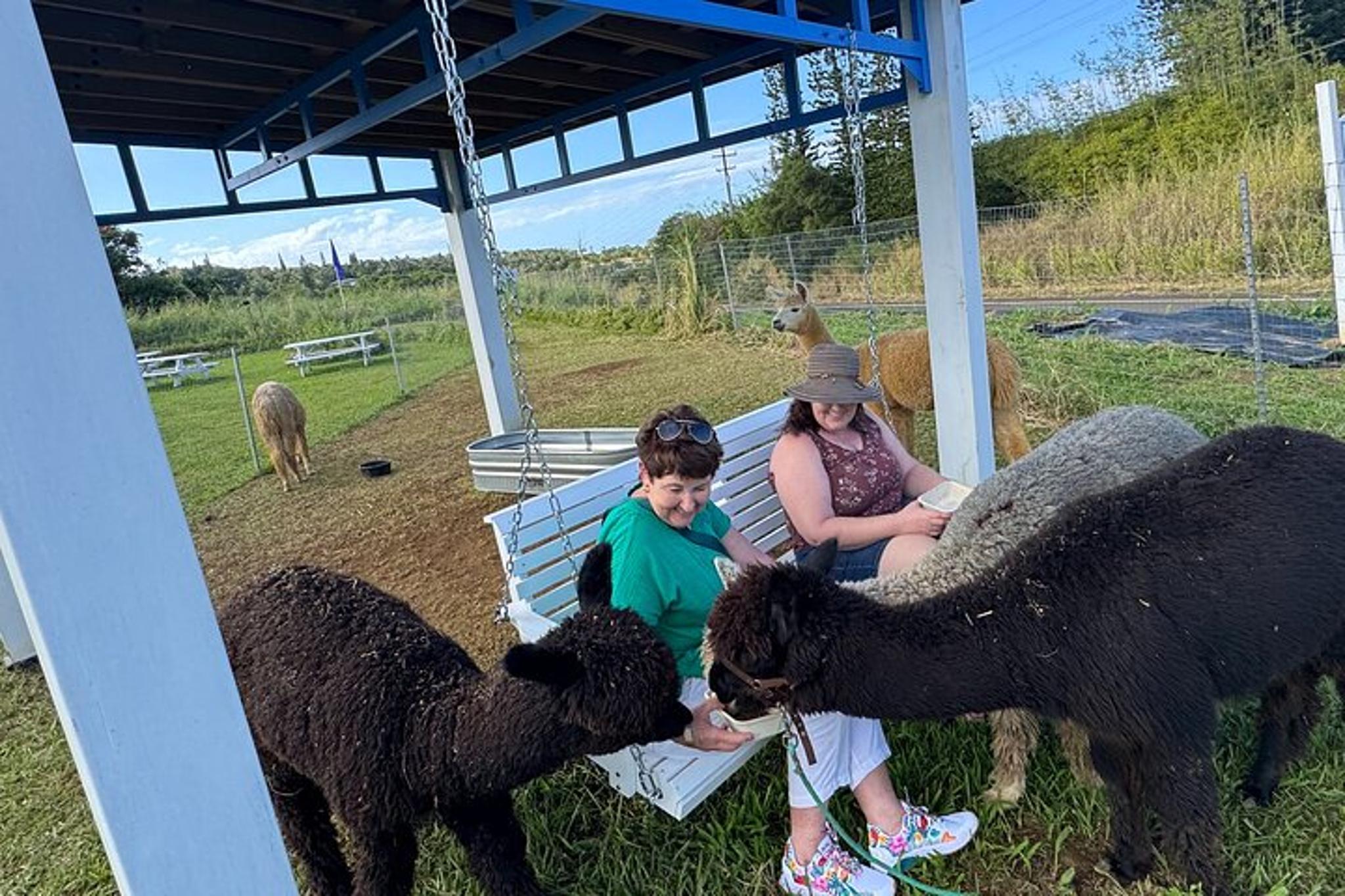 Hana Alpaca Farm Experience - Image 3