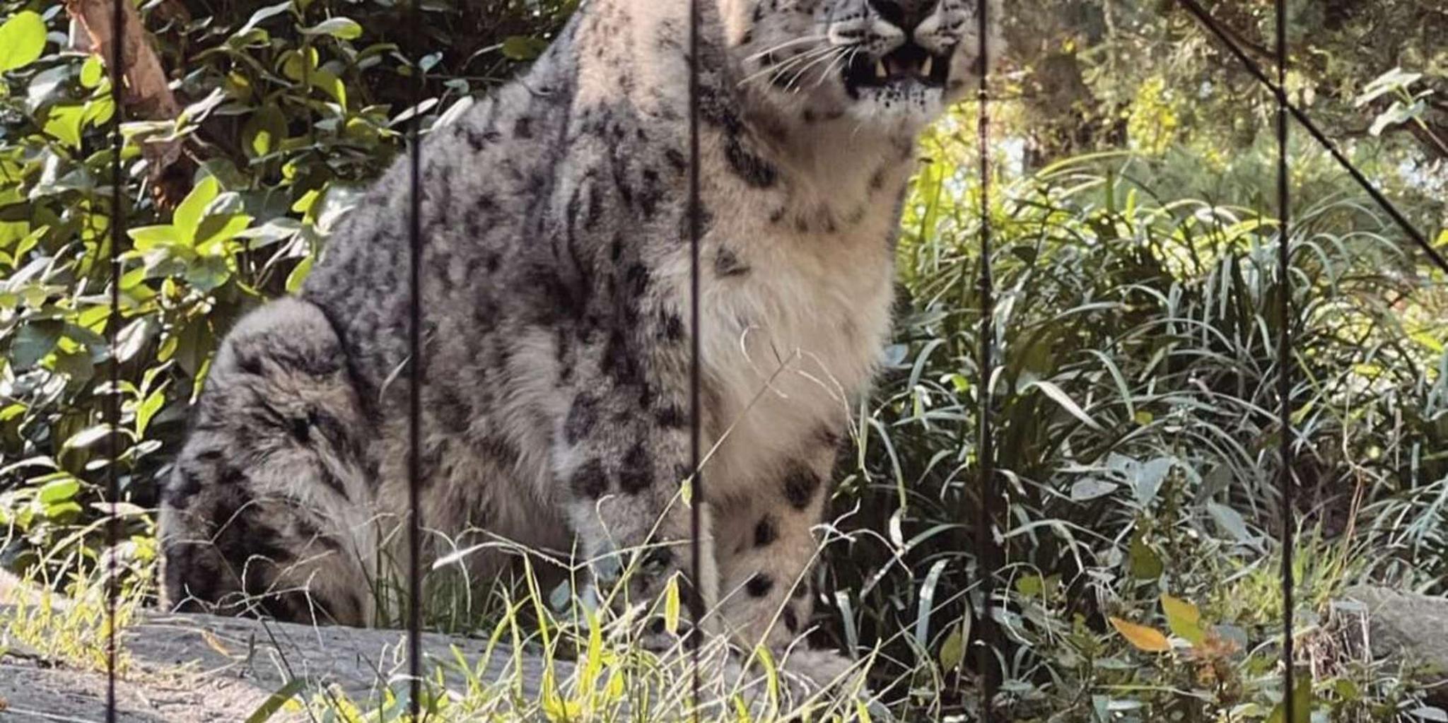 New York Central Park Zoo Tour with Hotel Pickup