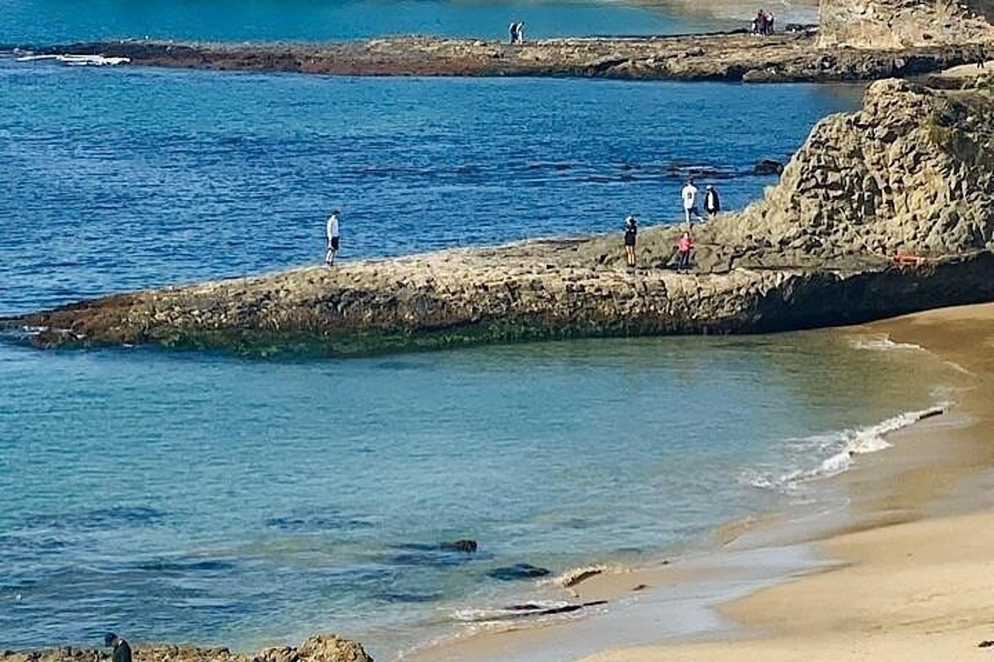Laguna Beach & Balboa Pier Private Tour - Image 1