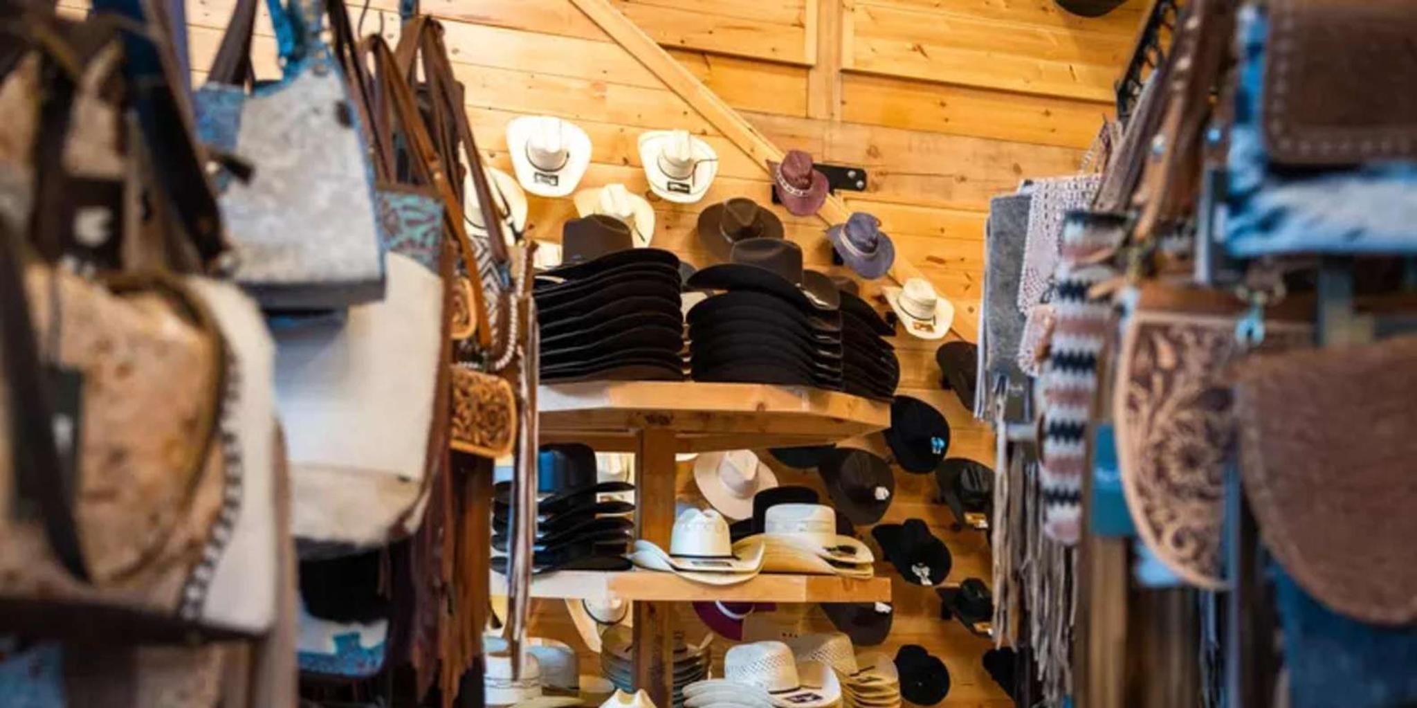 Pigeon Forge SkyLand Ranch Admission with Chairlift - Image 6