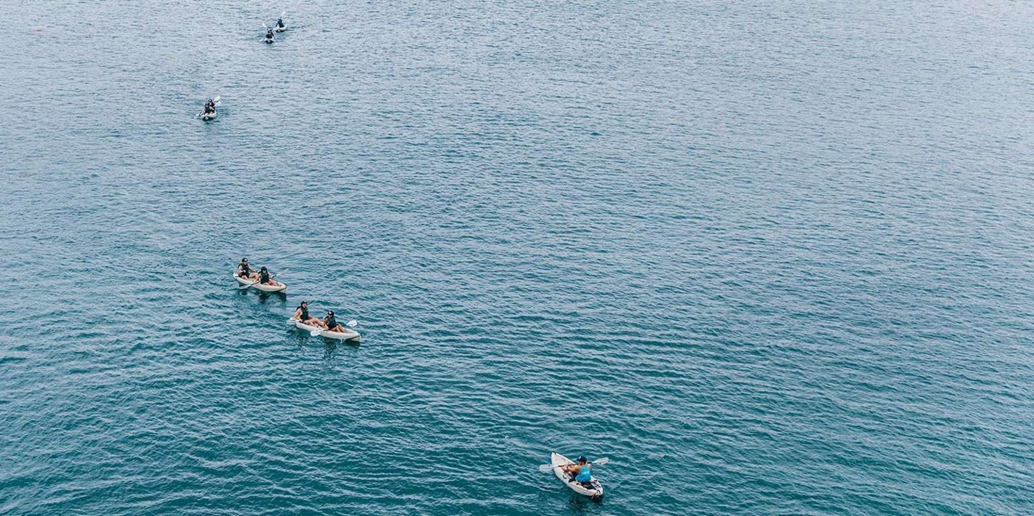 La Jolla Sea Cave Kayak Tour - Image 6
