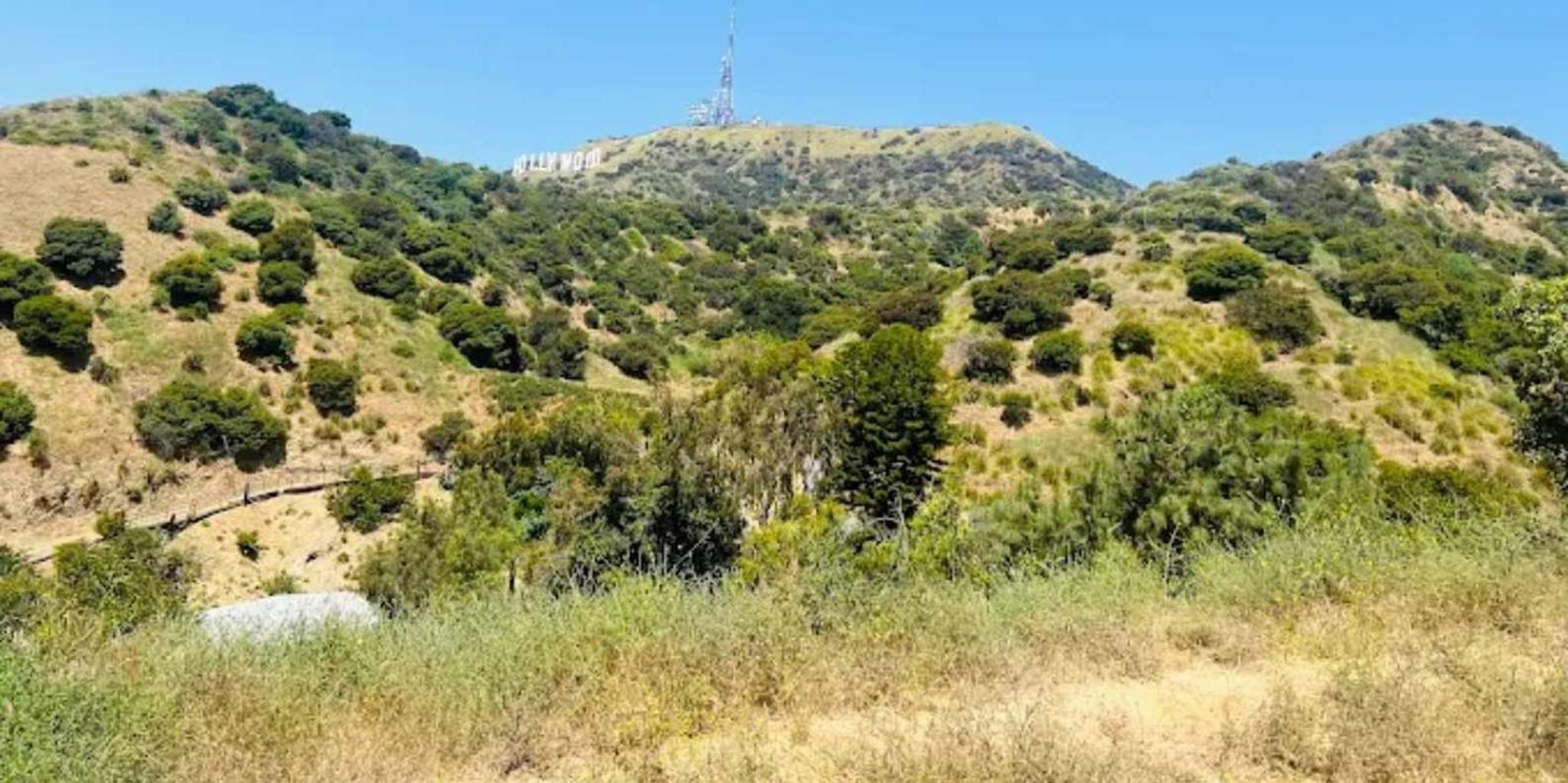Los Angeles Hollywood Hills Horseback Ride - Image 2