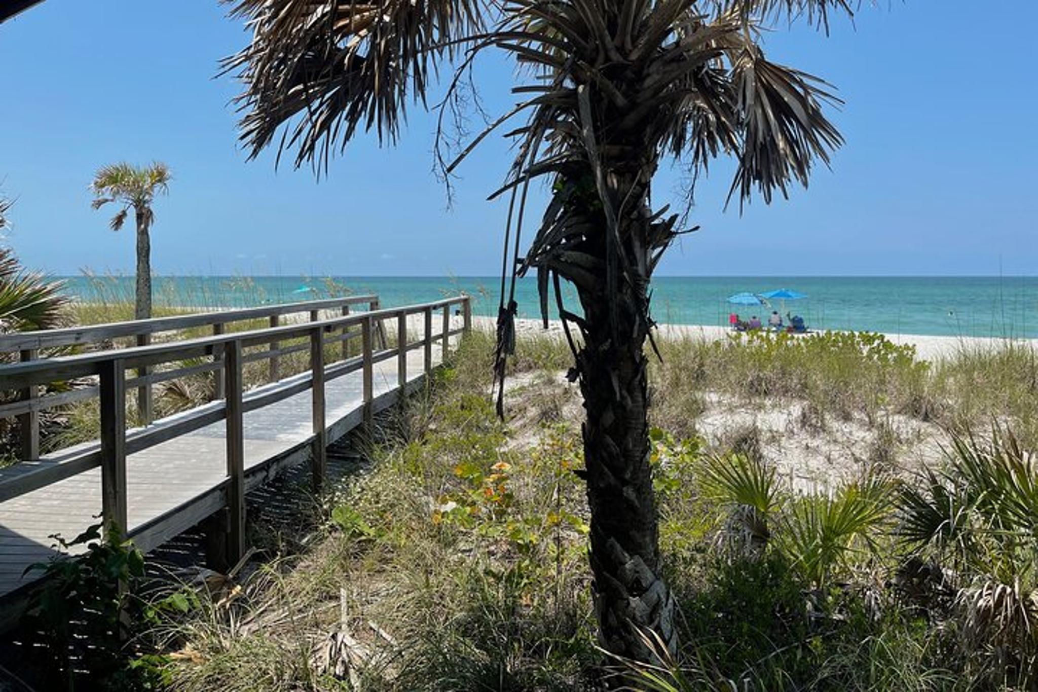 Don Pedro Island Kayak Eco Tour - Image 5